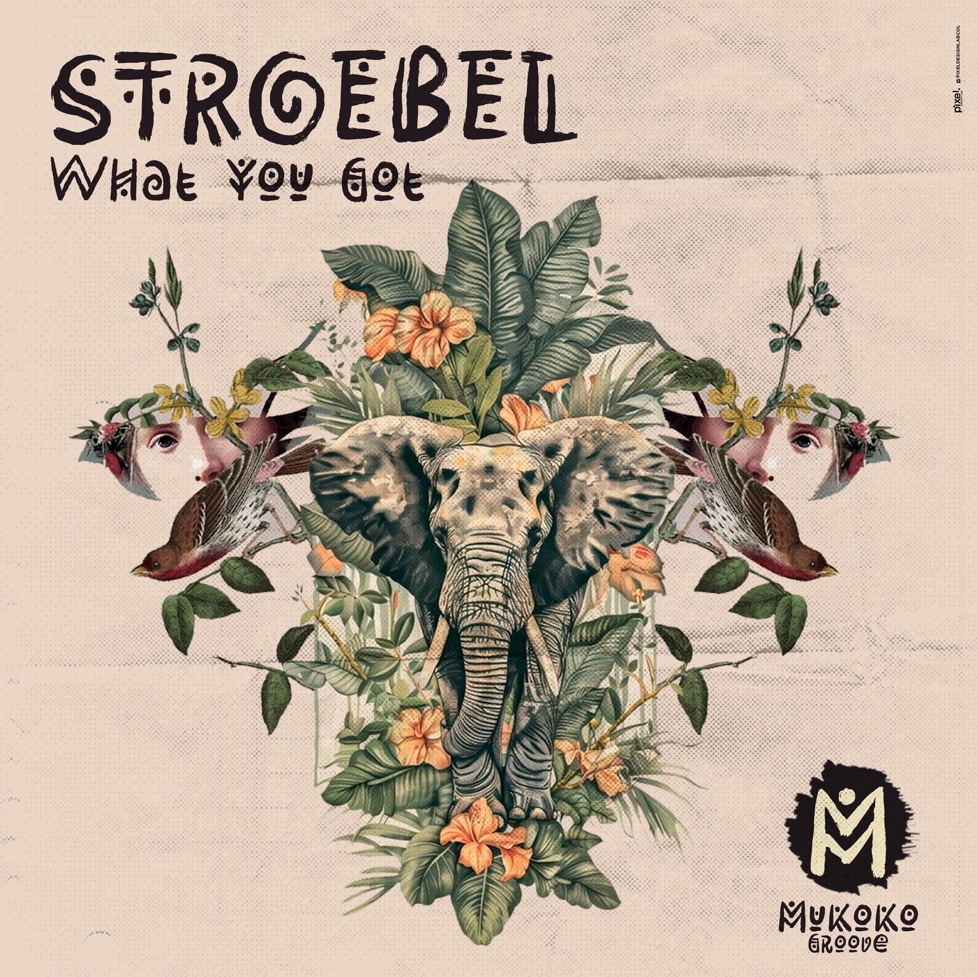 Cover - STROEBEL - What You Got (Extended Mix)