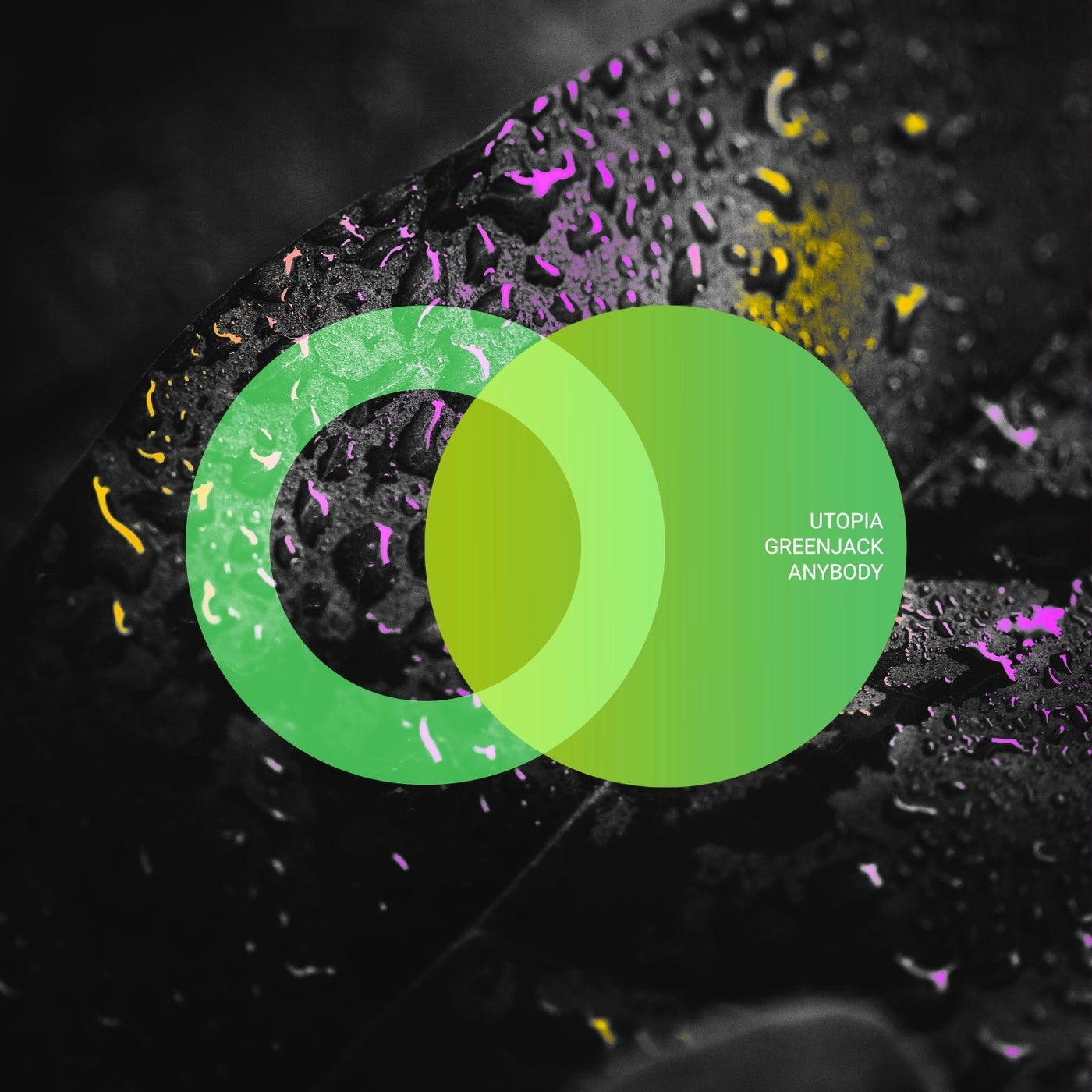 Cover - Greenjack, UTOPIA (ofc) - Anybody (Original Mix)