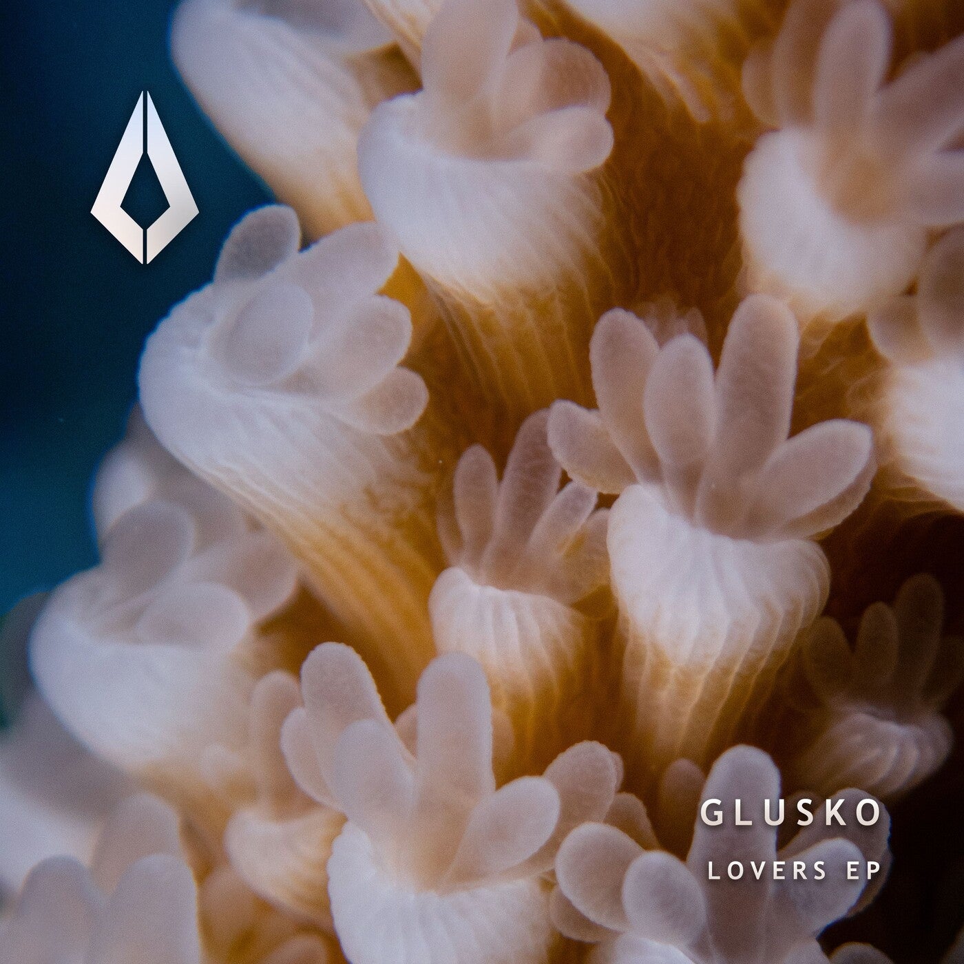 Cover - Thomas Gandey, Glusko - Lovers feat. Thomas Gandey (Extended Mix)