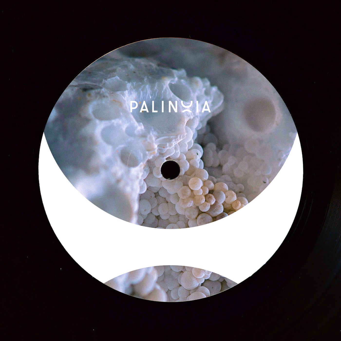Cover - Eric Cloutier - PBG001 (Original Mix)