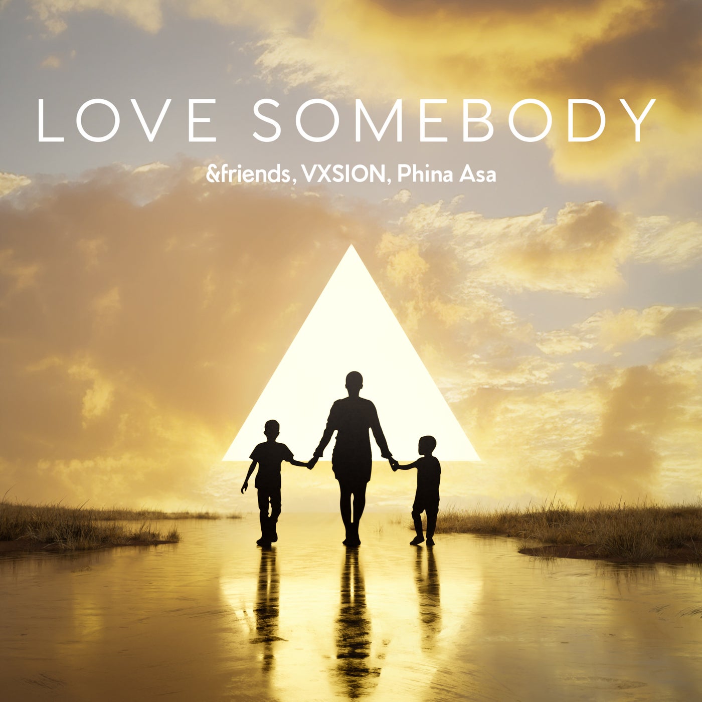 Cover - VXSION, &friends, Phina Asa - Love Somebody (Extended Mix)