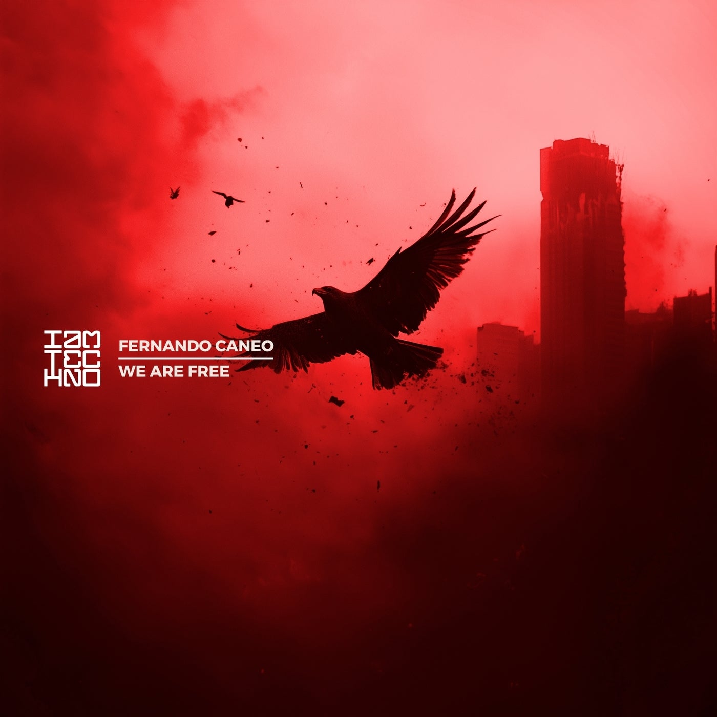 Cover - Fernando Caneo - We Are Free (Original Mix)