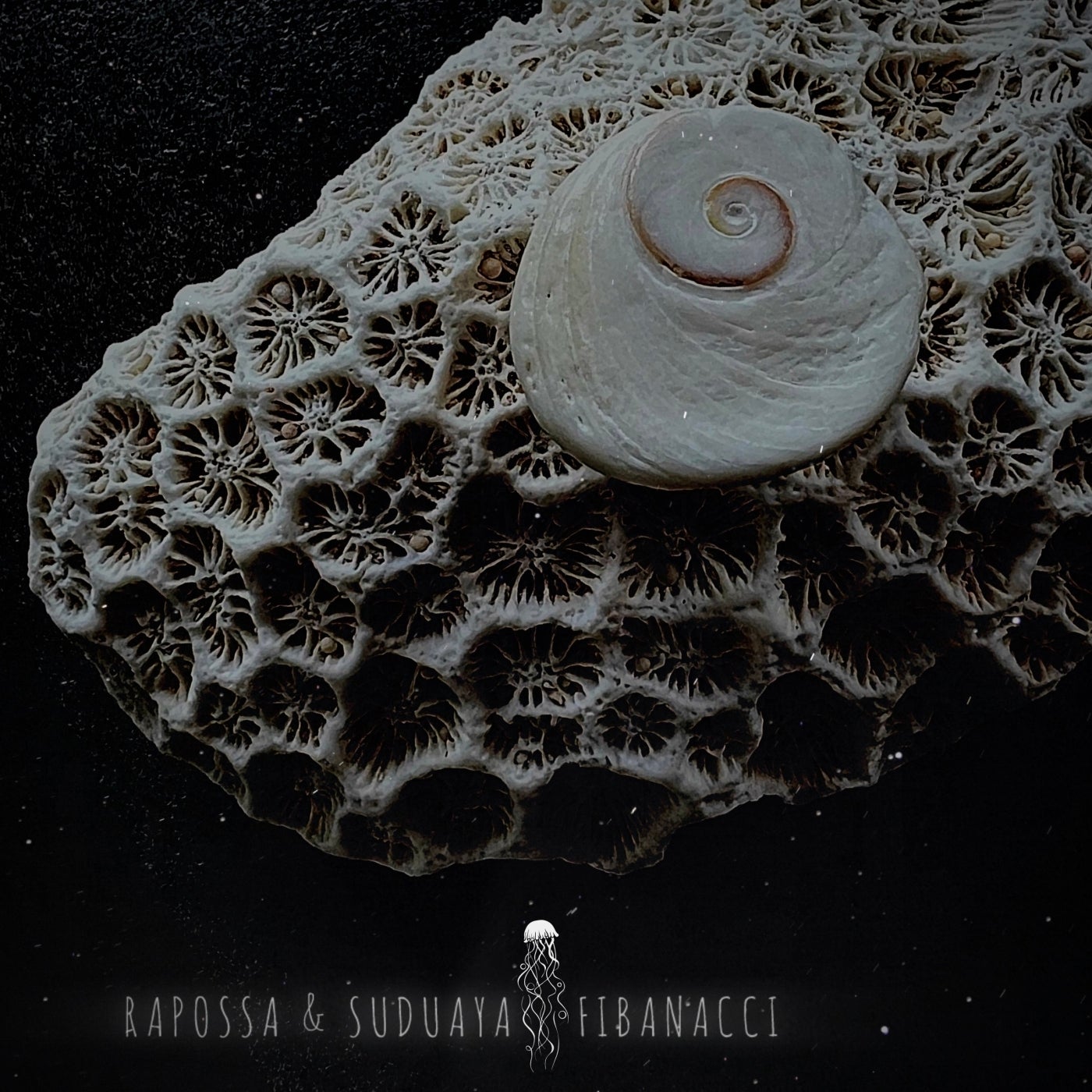 Cover - Suduaya, Rapossa - Fibonacci (Original Mix)