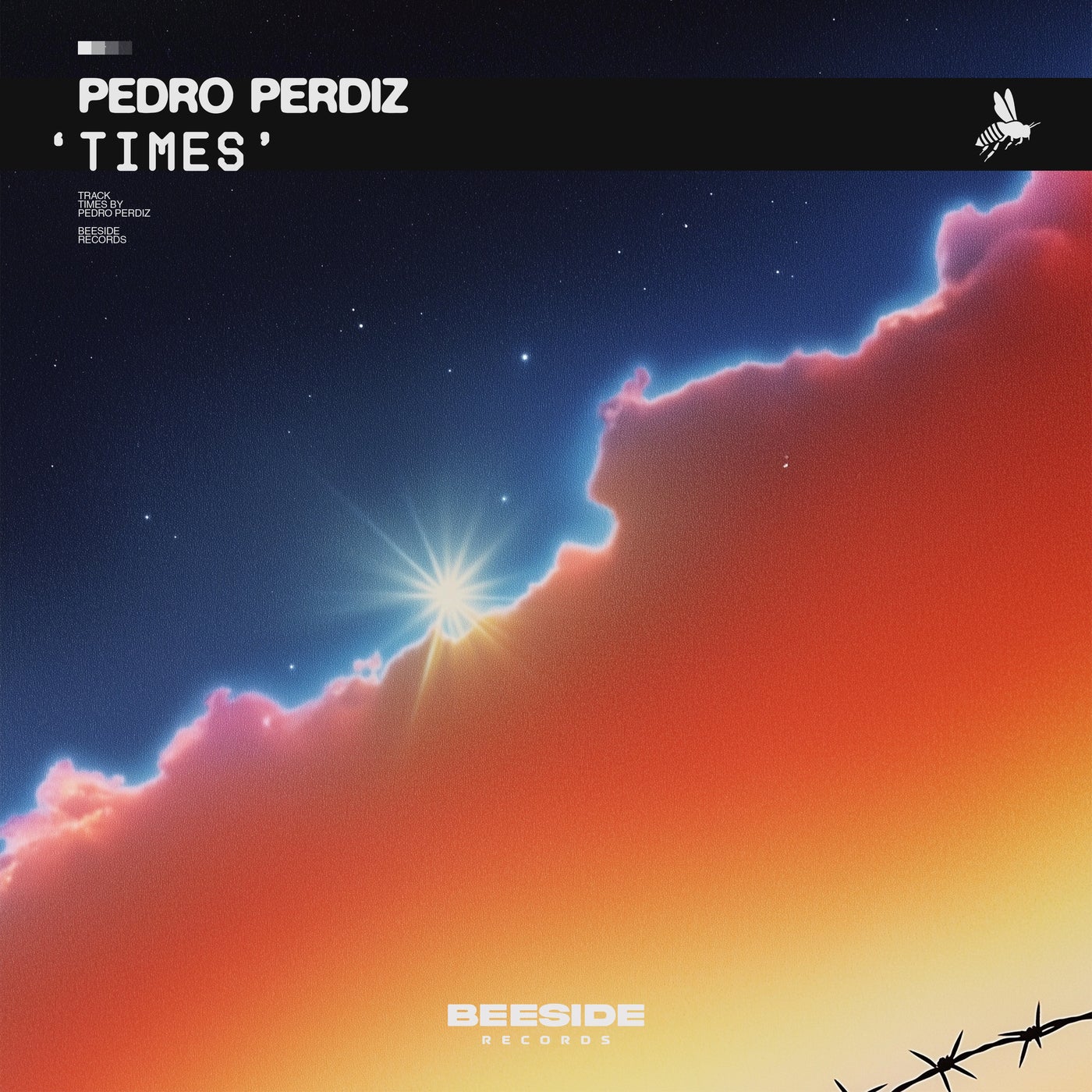 Cover - Pedro Perdiz - Times (Extended Mix)