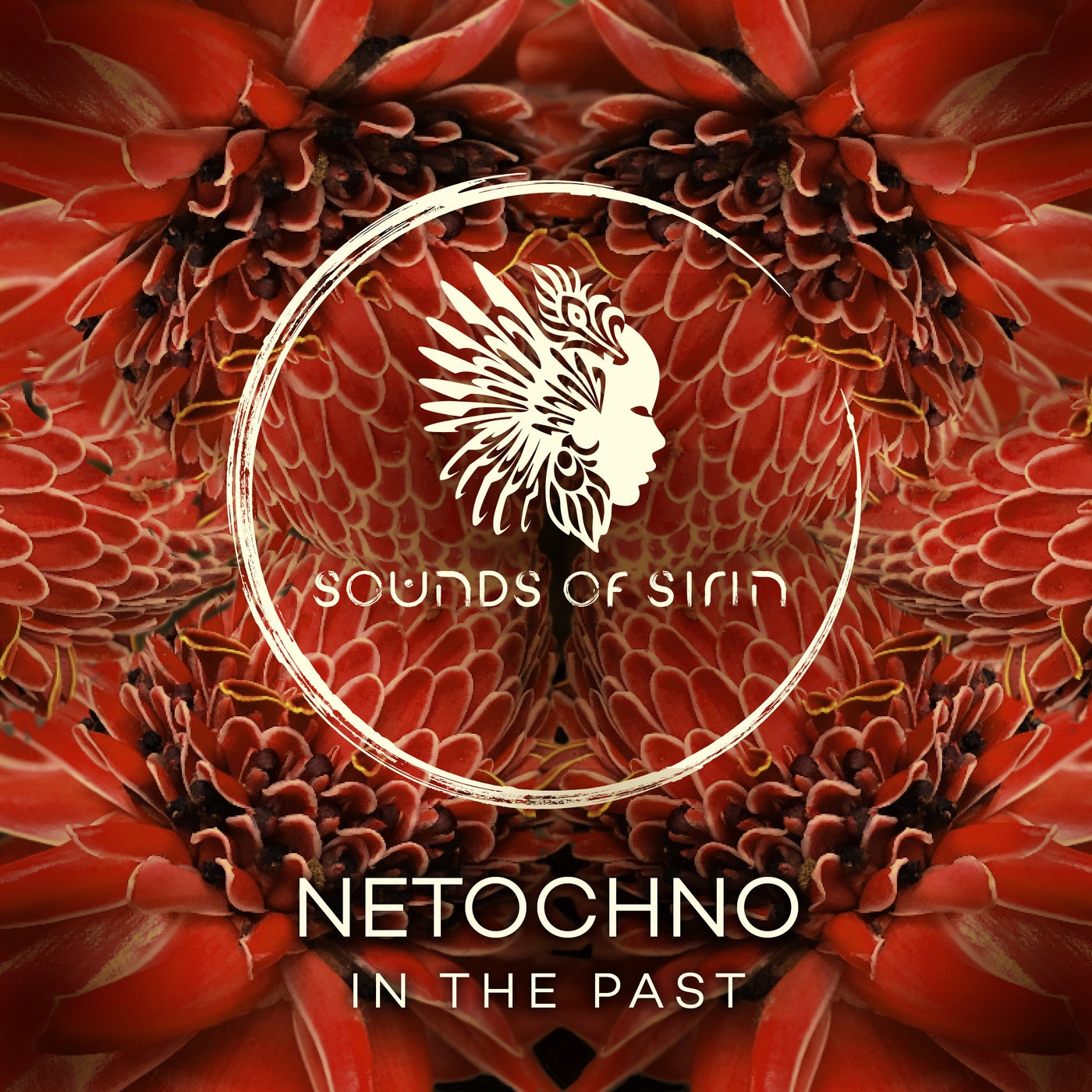 Cover - Netochno - In The Past (Extended Mix)