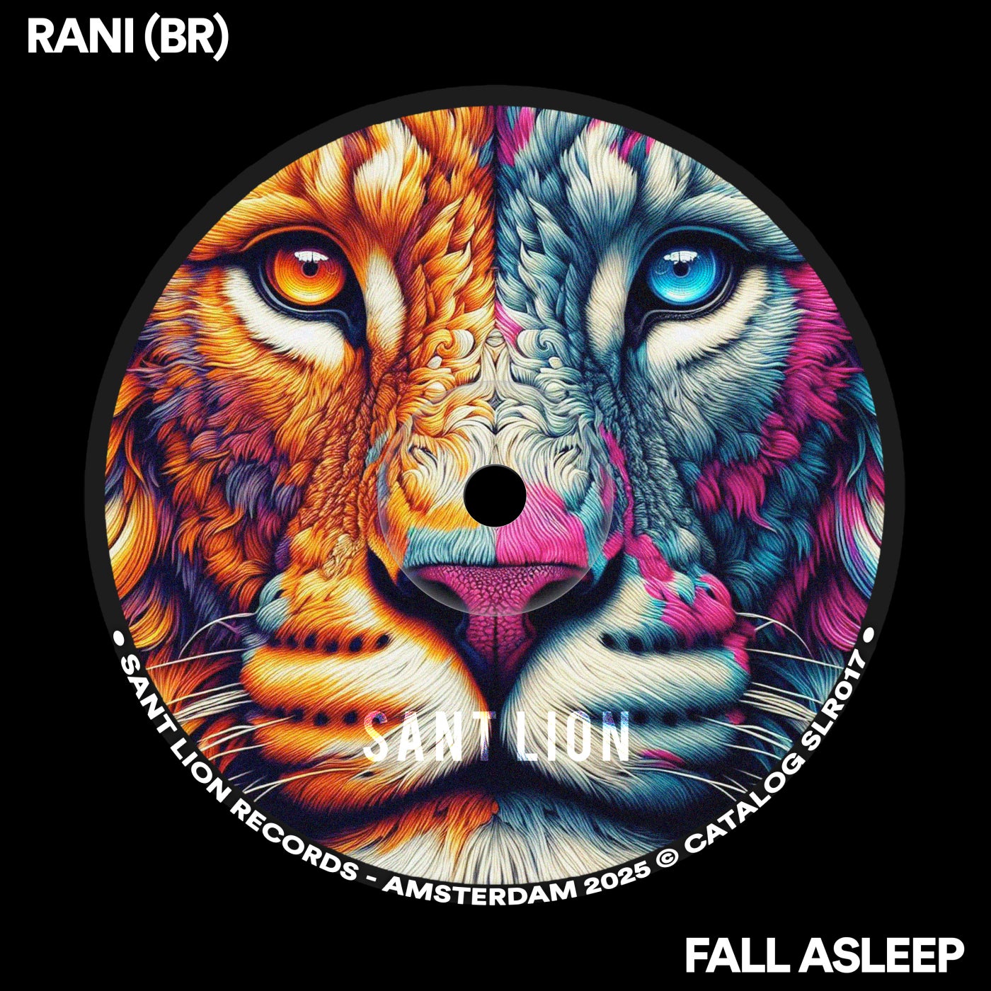 Cover - RANI (BR) - Fall Asleep (Extended Mix)