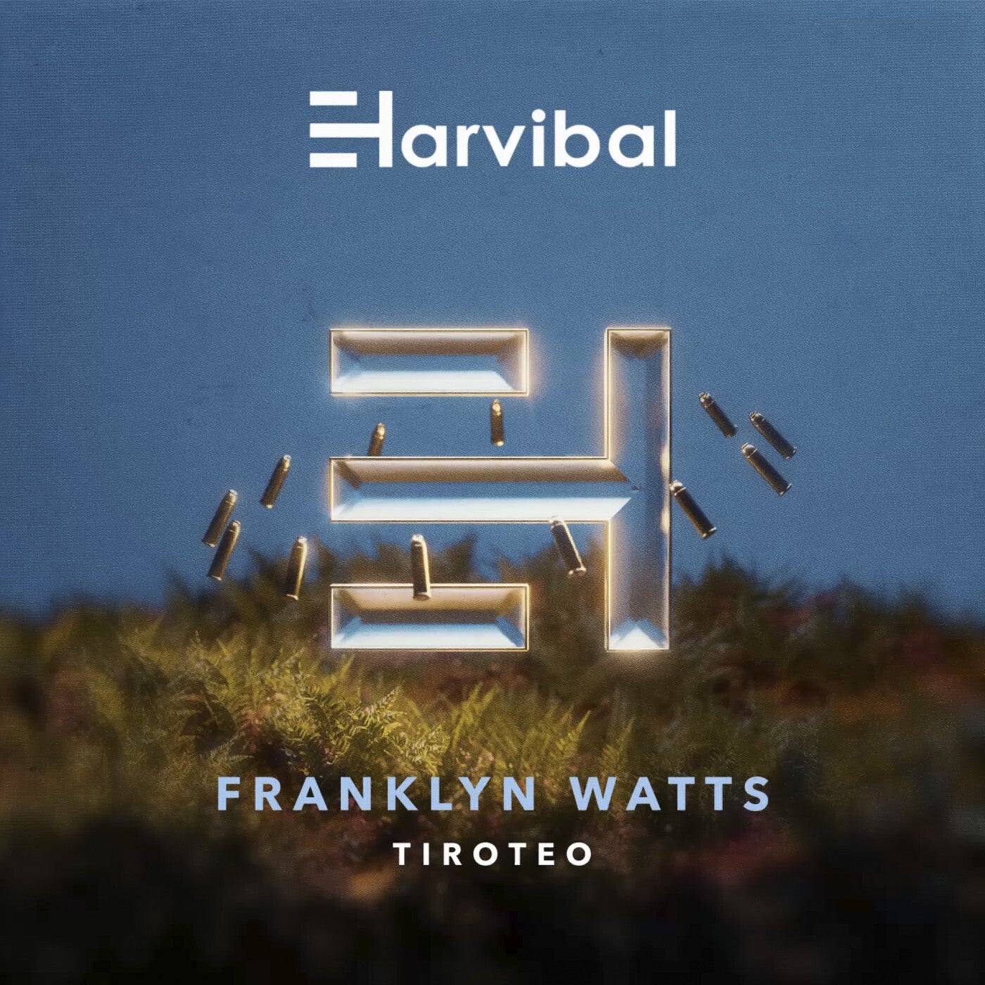 Cover - Franklyn Watts - Show Me (Original Mix)
