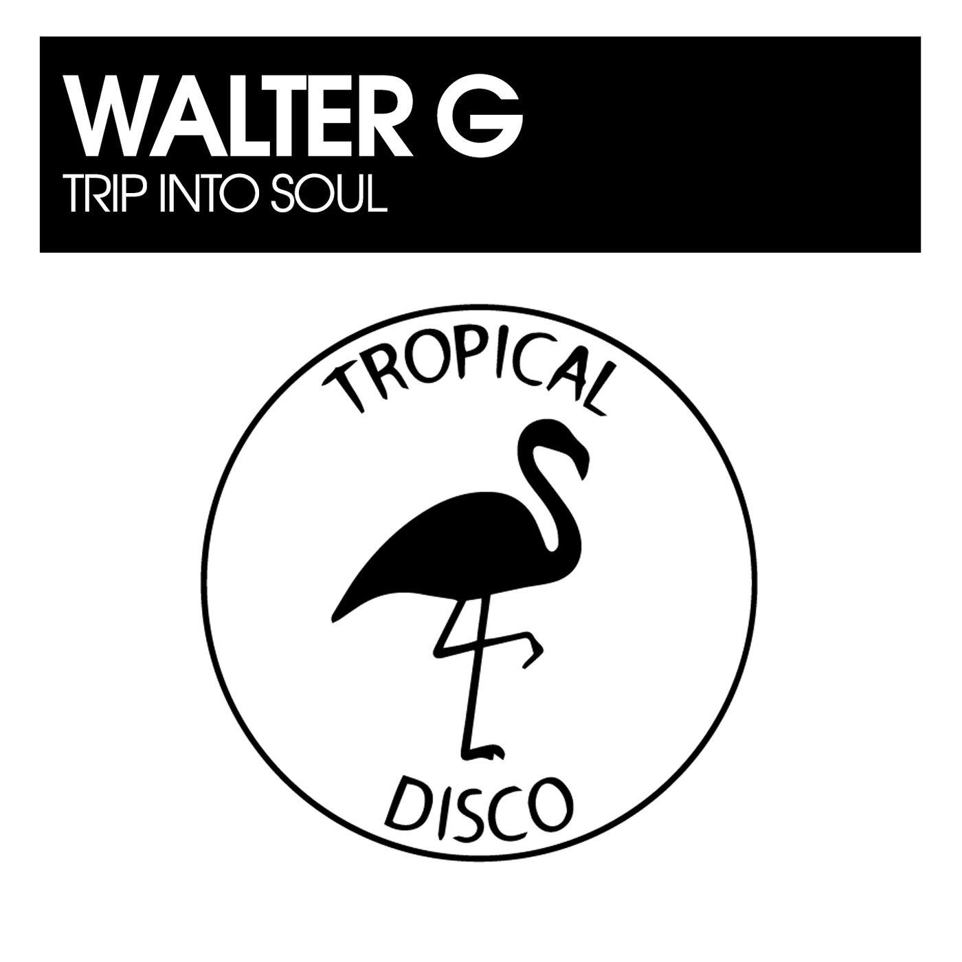 Cover - Walter G - Trip Into Soul (Original Mix)
