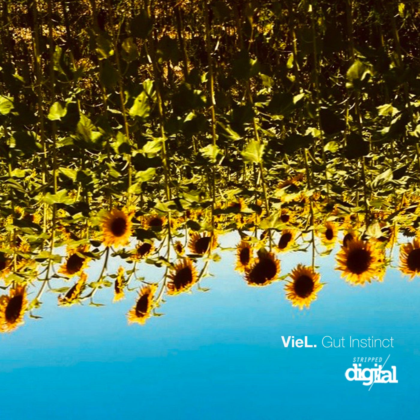 Cover - VieL - Gut Instinct (Original Mix)