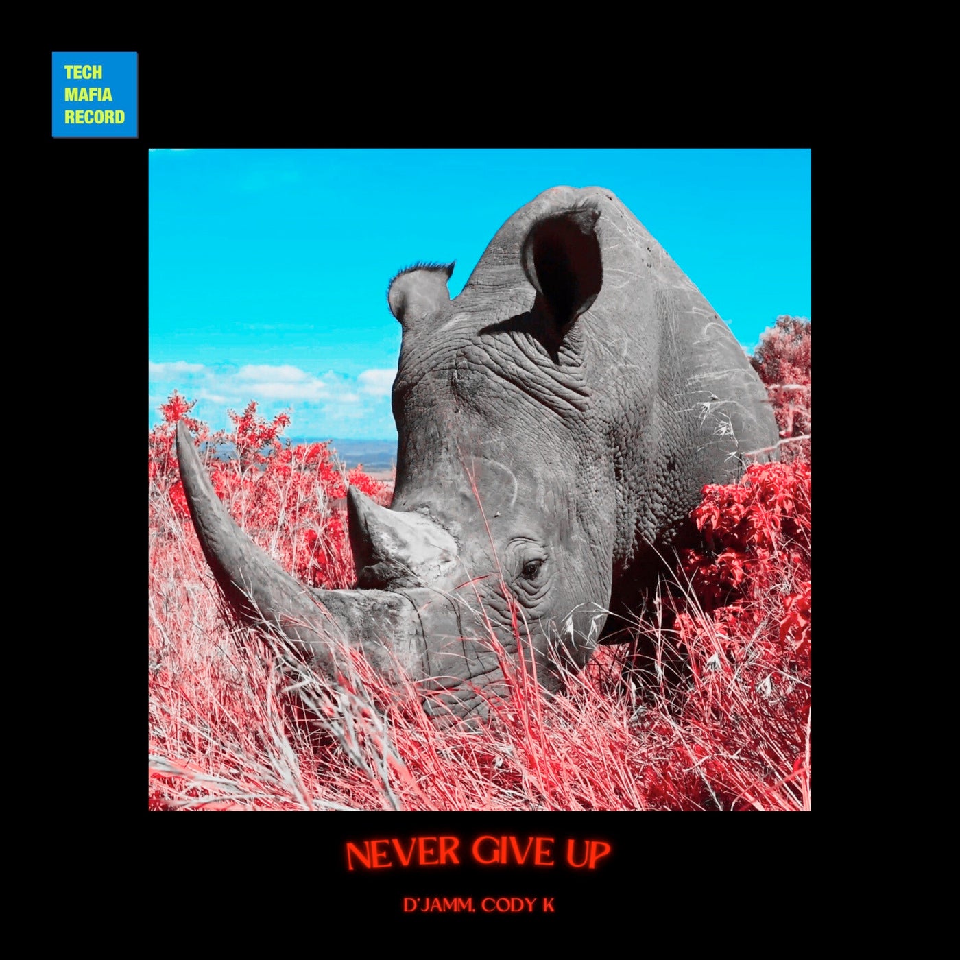 Cover - D'JAMM, Cody K - Never Give Up (Original Mix)