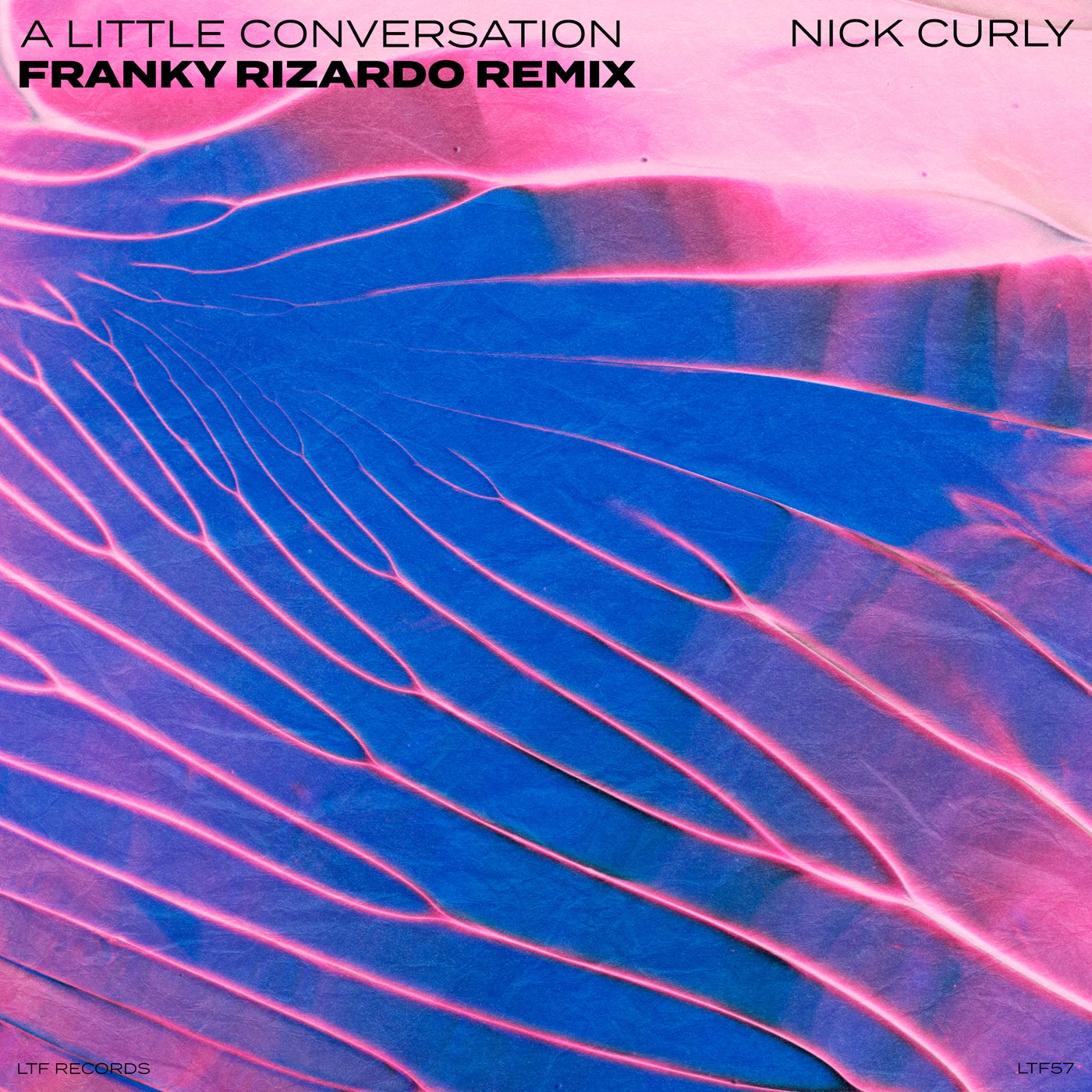 Cover - Nick Curly - A Little Conversation (Franky Rizardo Extended Remix)