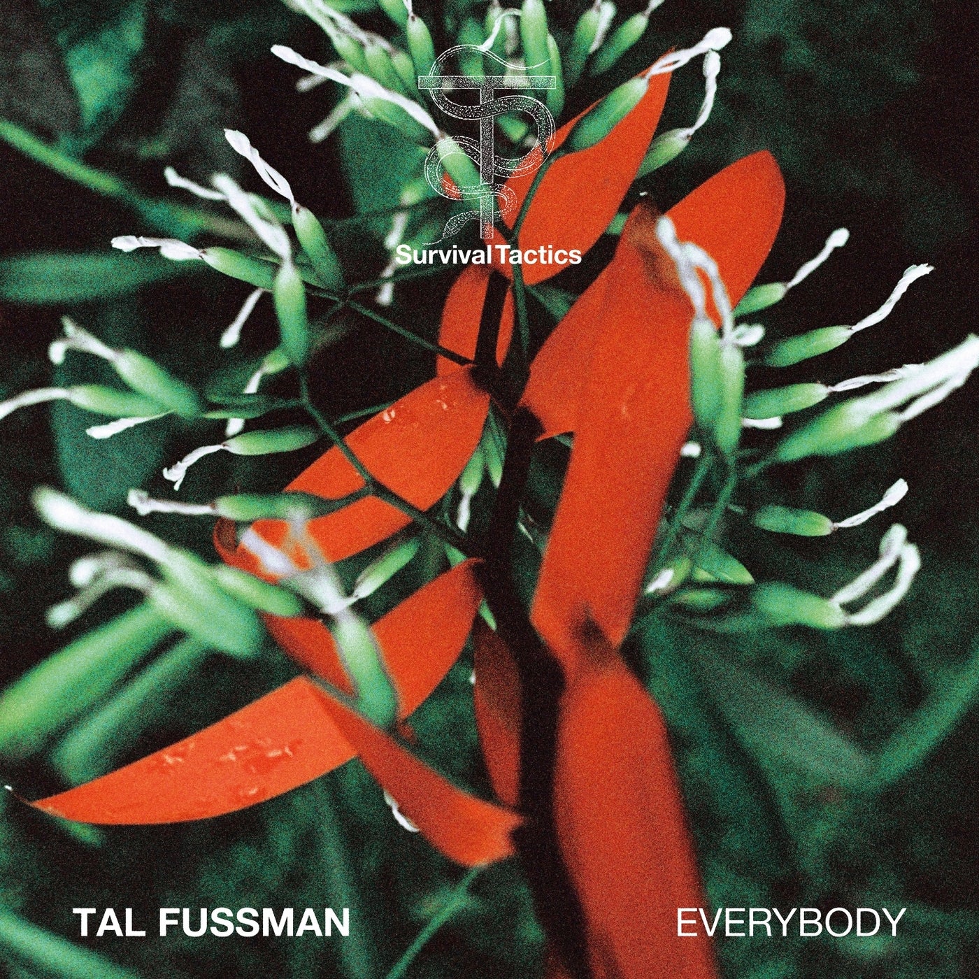 Cover - Tal Fussman - Everybody (Original Mix)