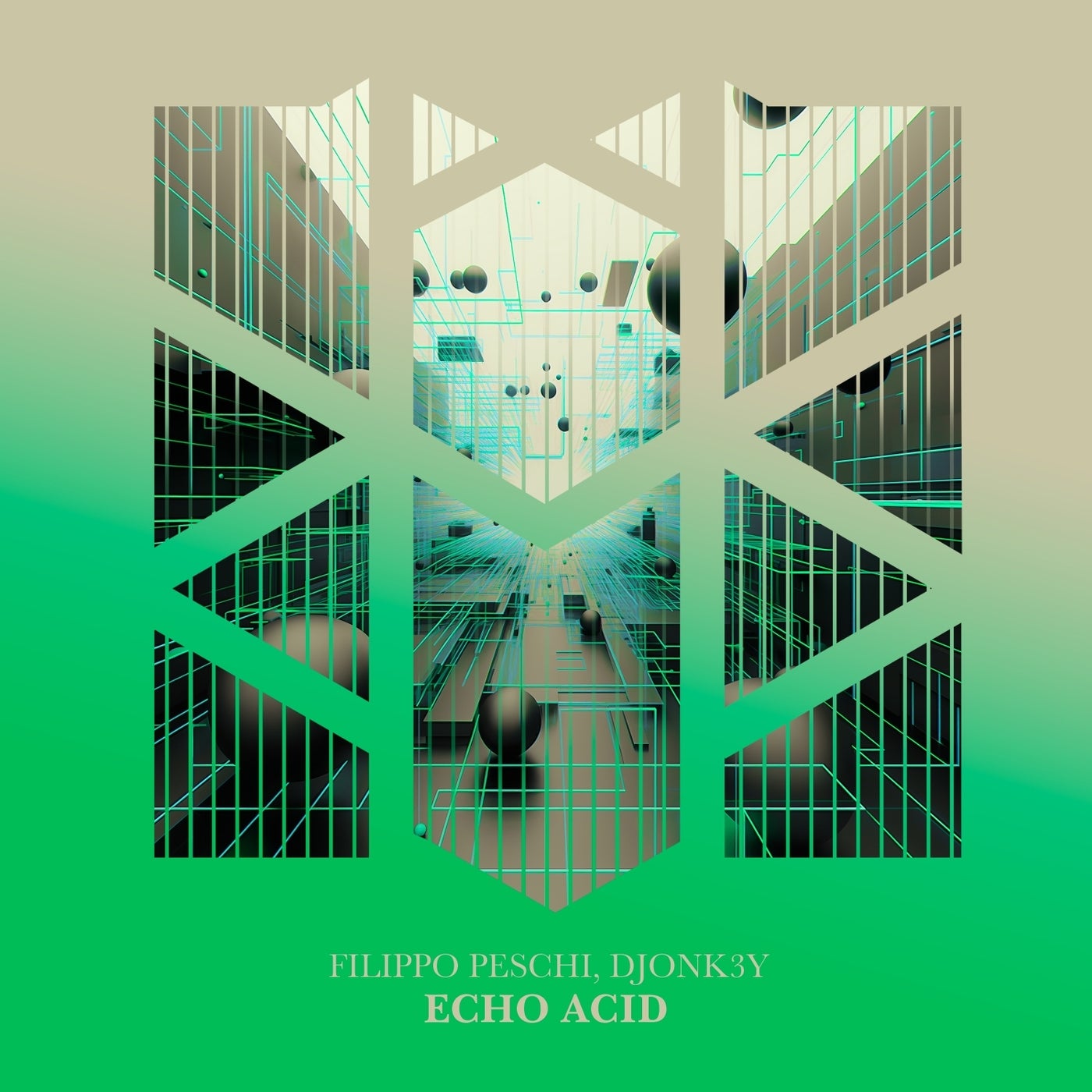 Cover - Filippo Peschi, Djonk3y - Echo Acid (Original Mix)