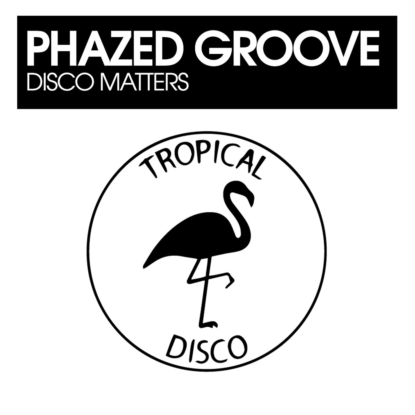 Cover - Phazed Groove - Disco Matters (Original Mix)