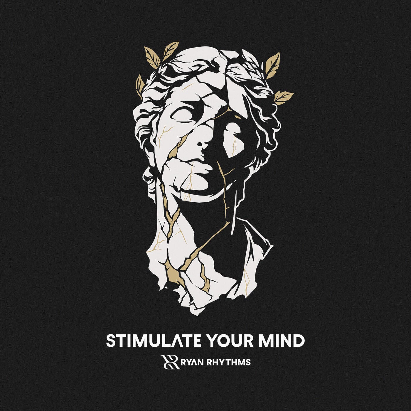 Cover - Ryan Rhythms - Stimulate Your Mind (Extended)