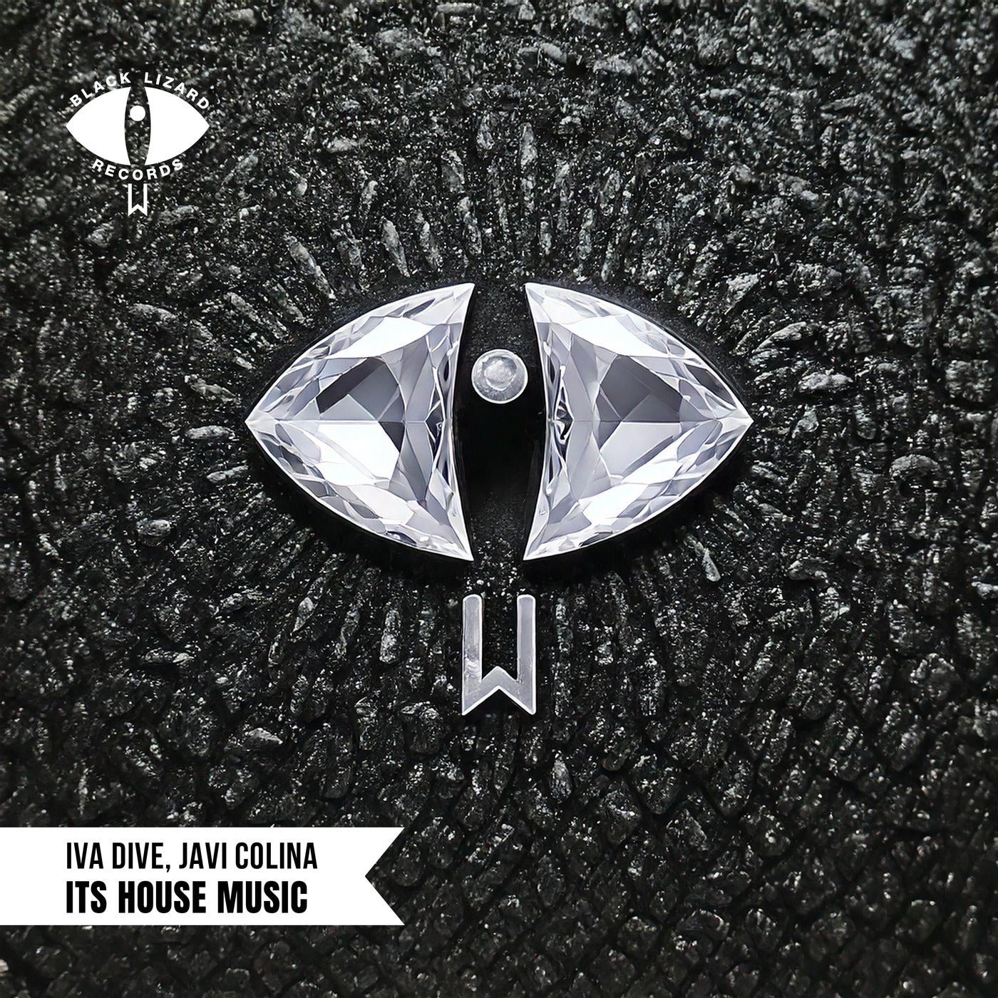 Cover - Javi Colina, Iva Dive - It's House Music (Original Mix)