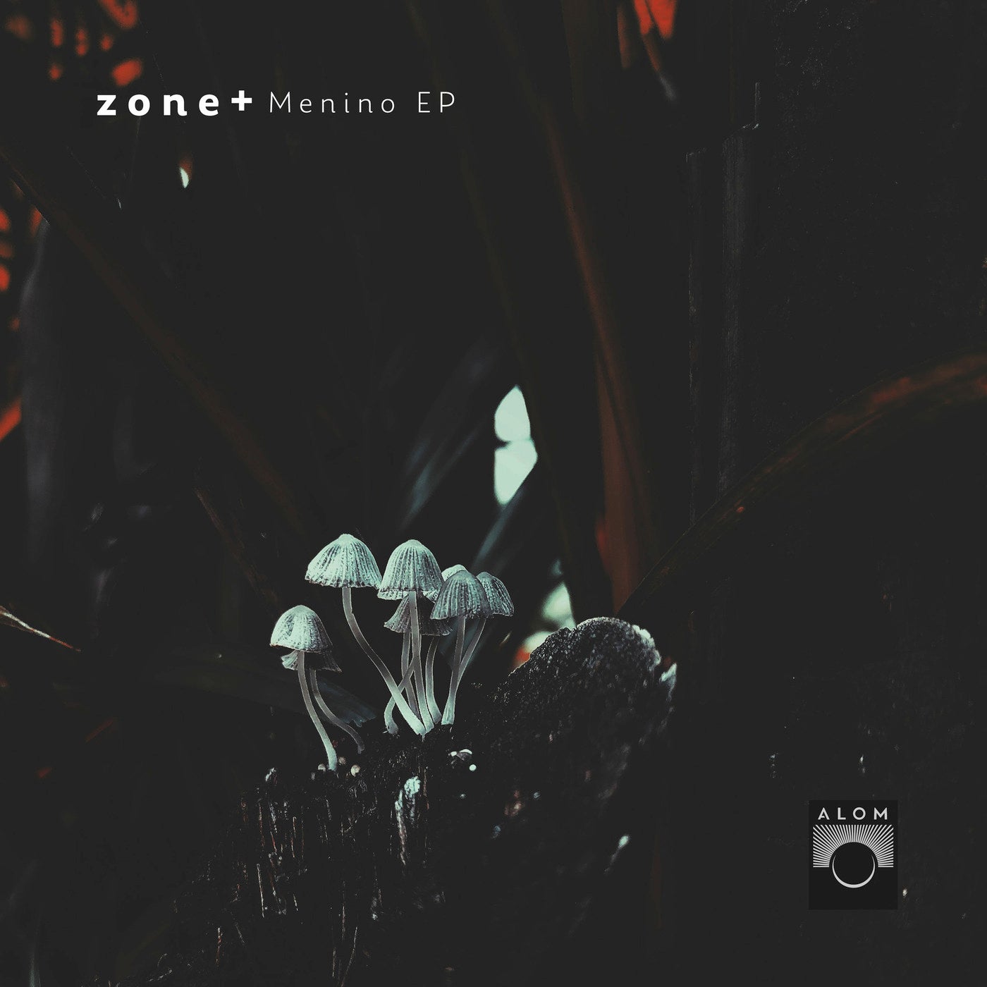Cover - Zone+ - Menino (Original Mix)