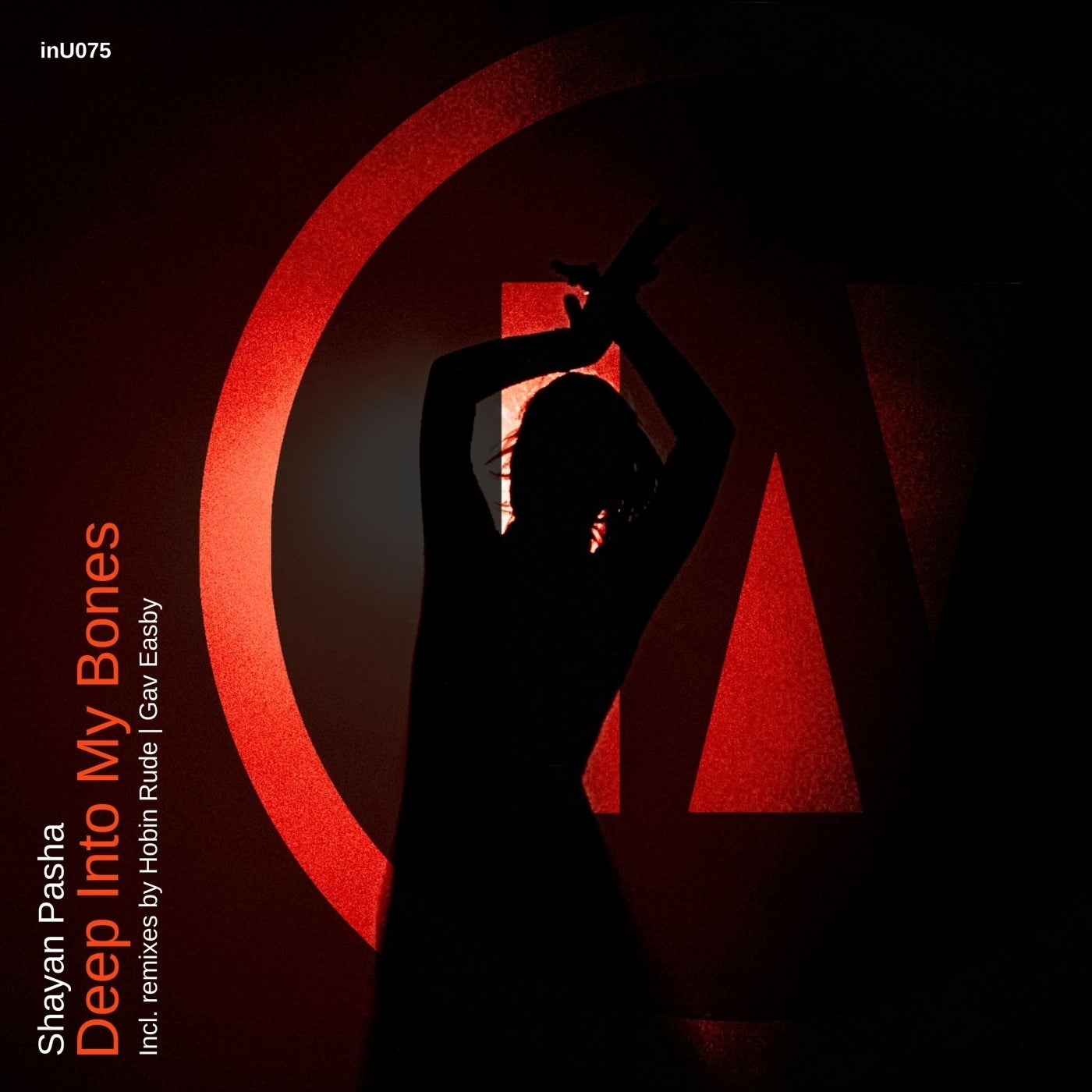 Cover - Shayan Pasha - Deep Into My Bones (Original Mix)