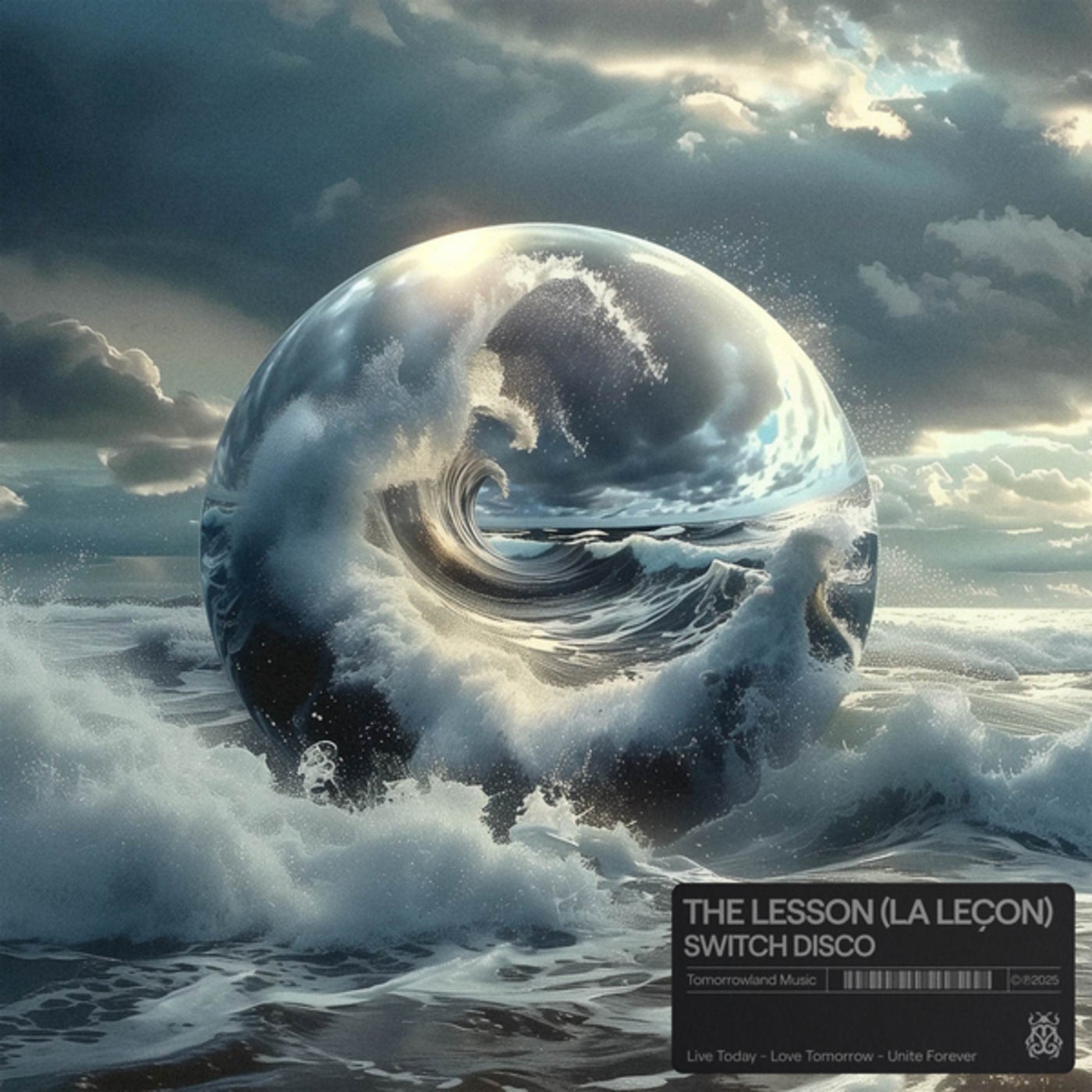 Cover - Switch Disco - The Lesson (La Leçon)