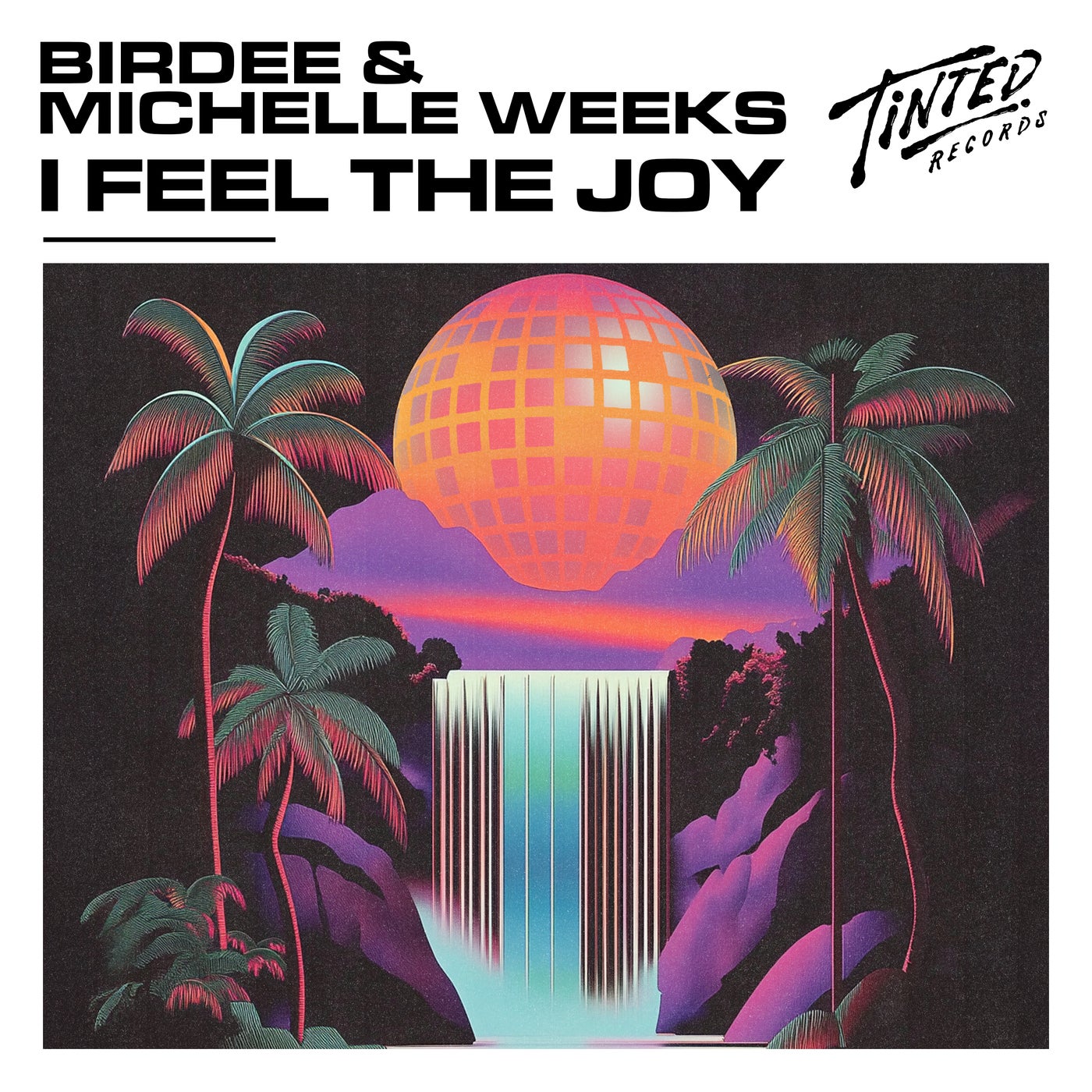 Cover - Michelle Weeks, Birdee - I Feel the Joy (Extended Mix)