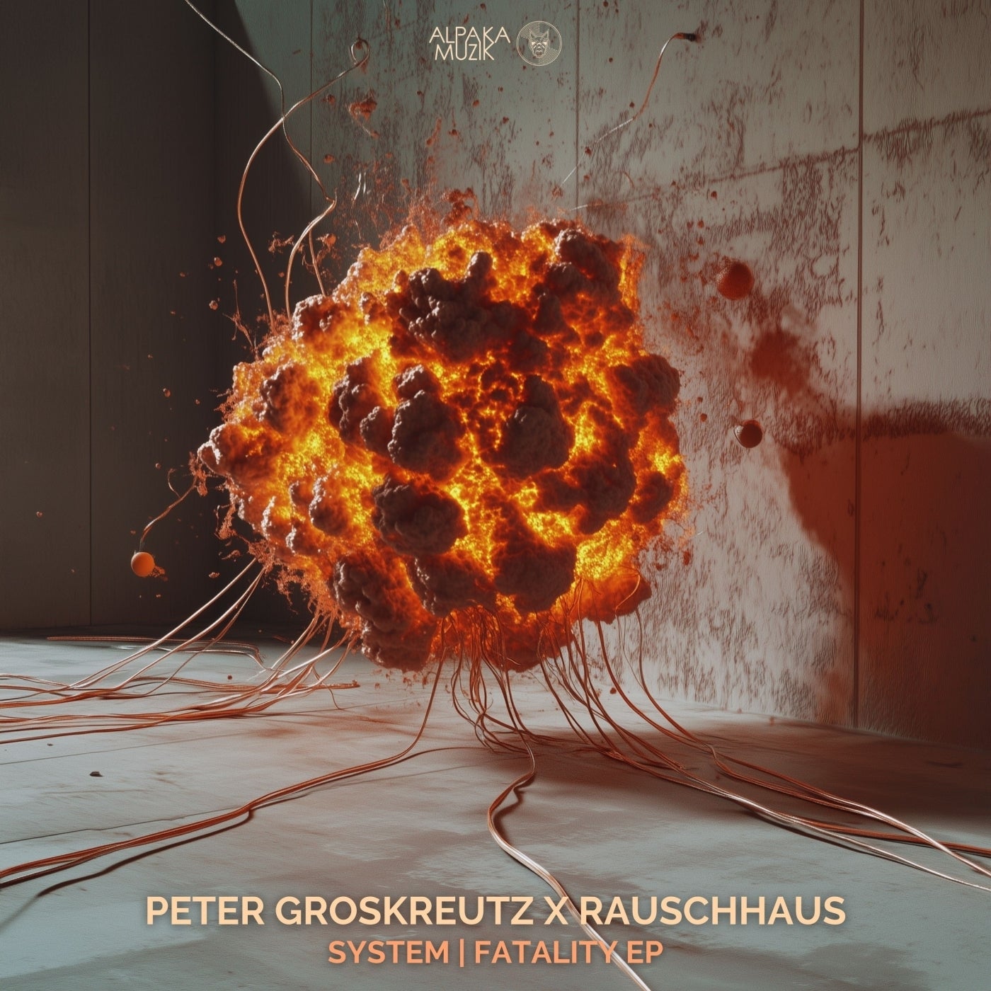 Cover - Rauschhaus, Peter Groskreutz - System (Original Mix)