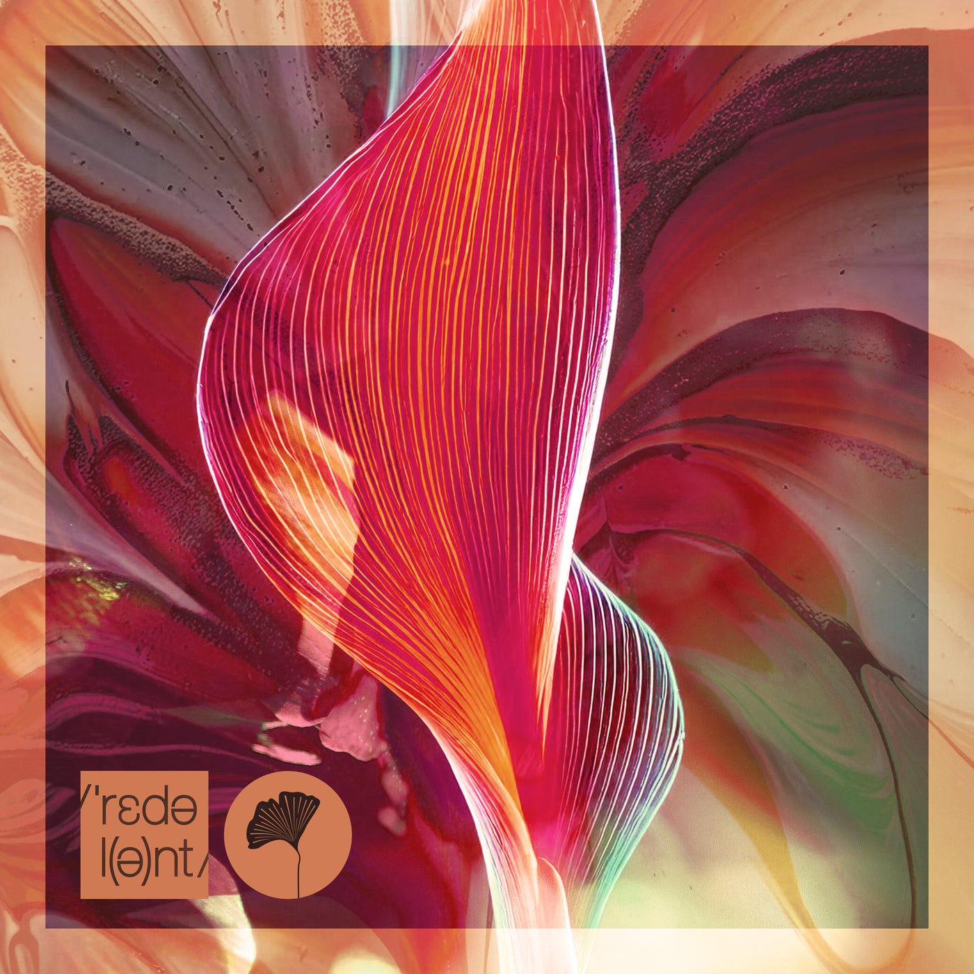 Cover - ASHER SWISSA, Anorre - Maga Yege (Extended Mix)