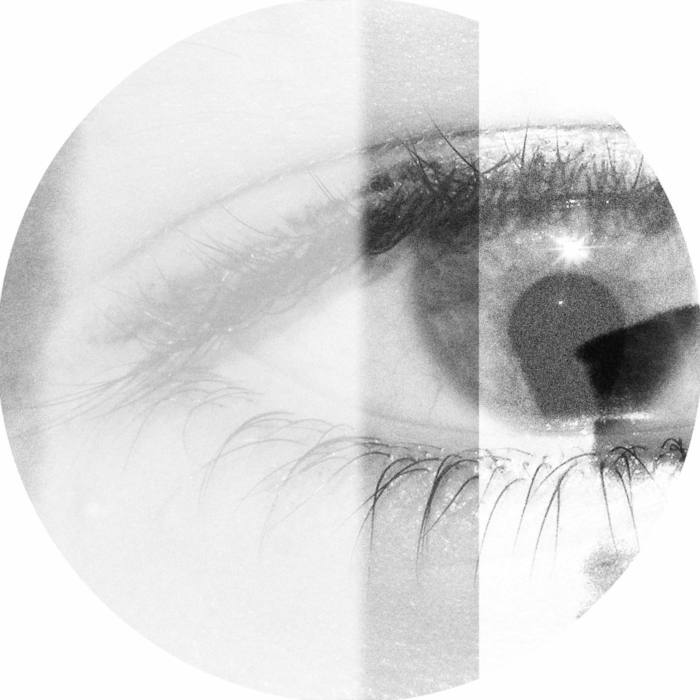 Cover - MUUI - The Beauty in You (Original Mix)