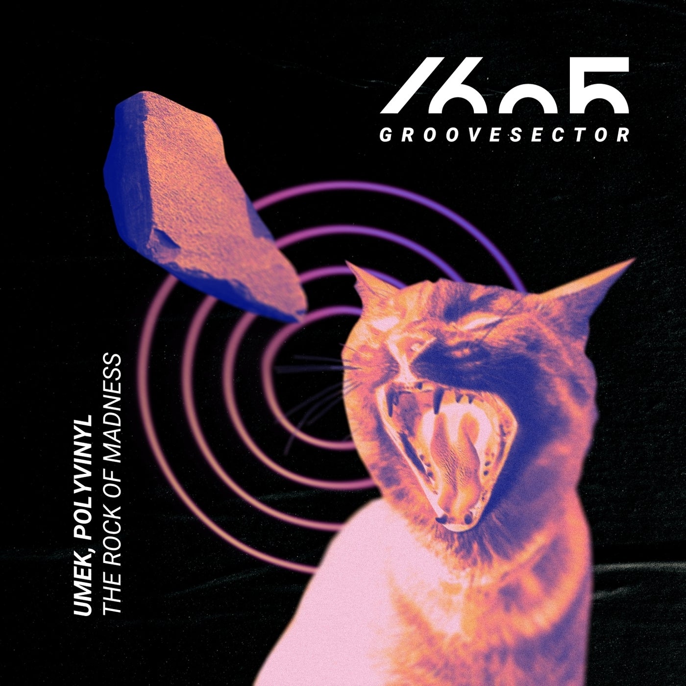 Cover - UMEK, Polyvinyl - The Rock of Madness (Original Mix)