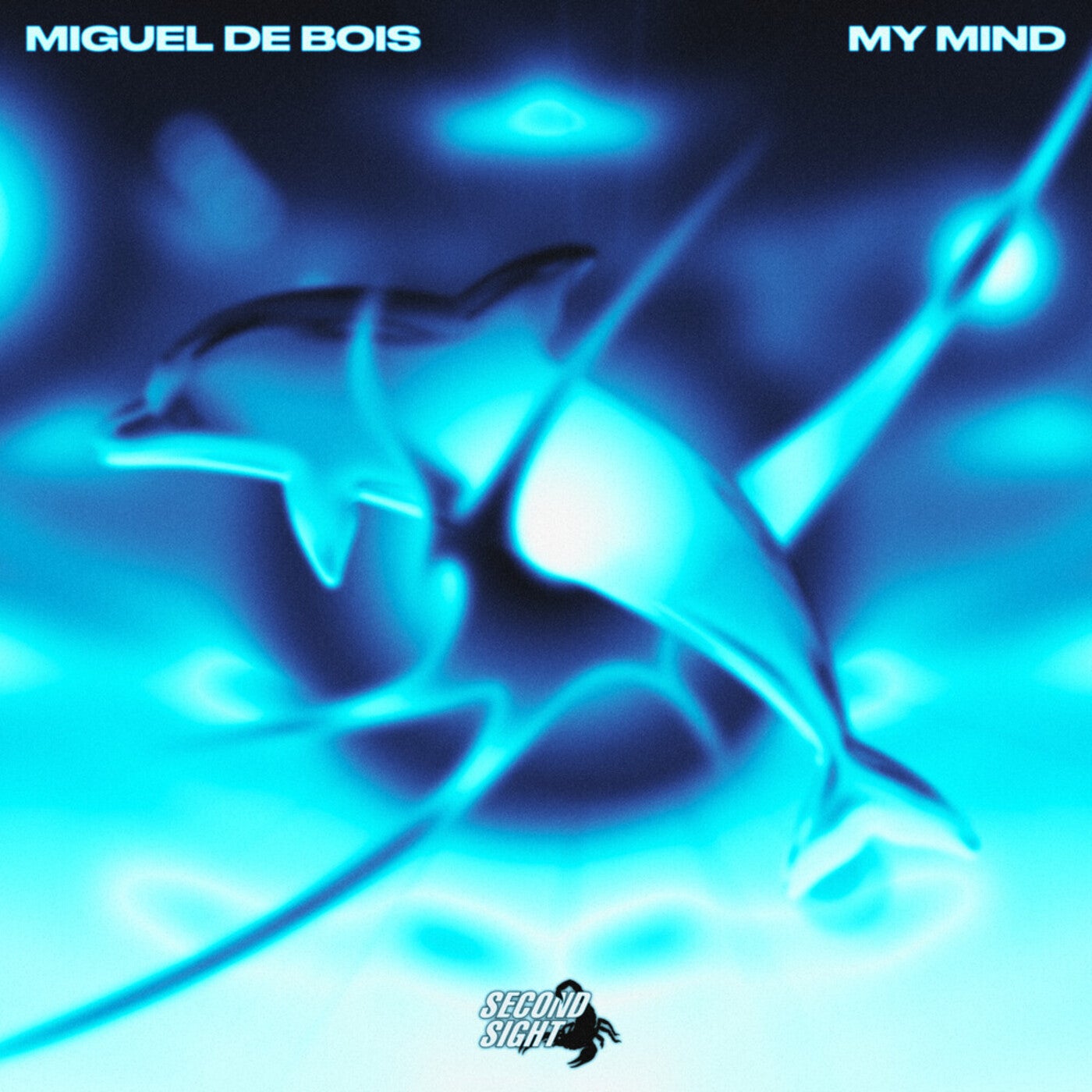 Cover - Miguel de Bois - Got My Mind (Original Mix)