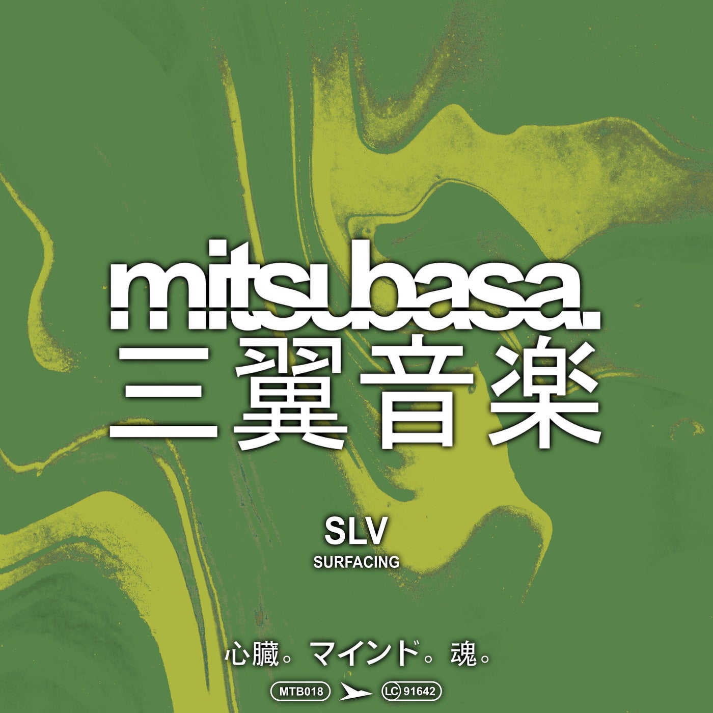 Cover - SLV (DE) - Signature (Original Mix)