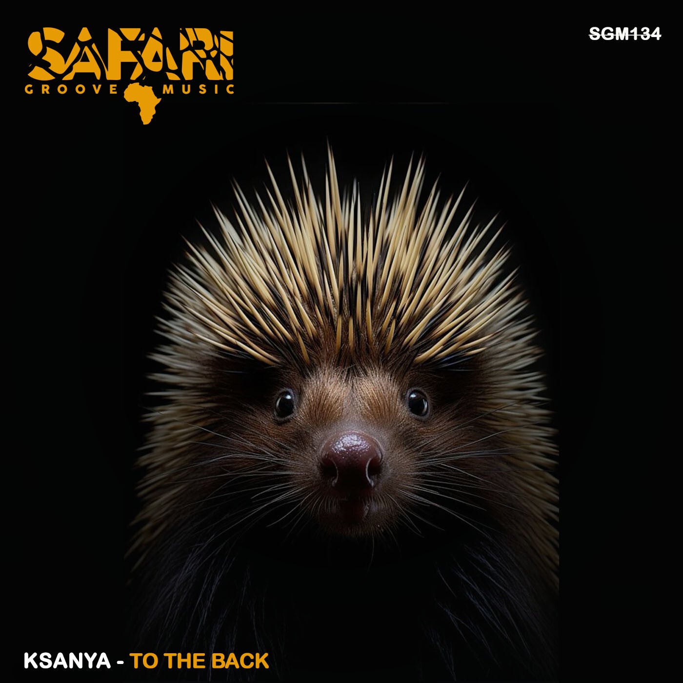 Cover - Ksanya - In Fron Of (Original Mix)