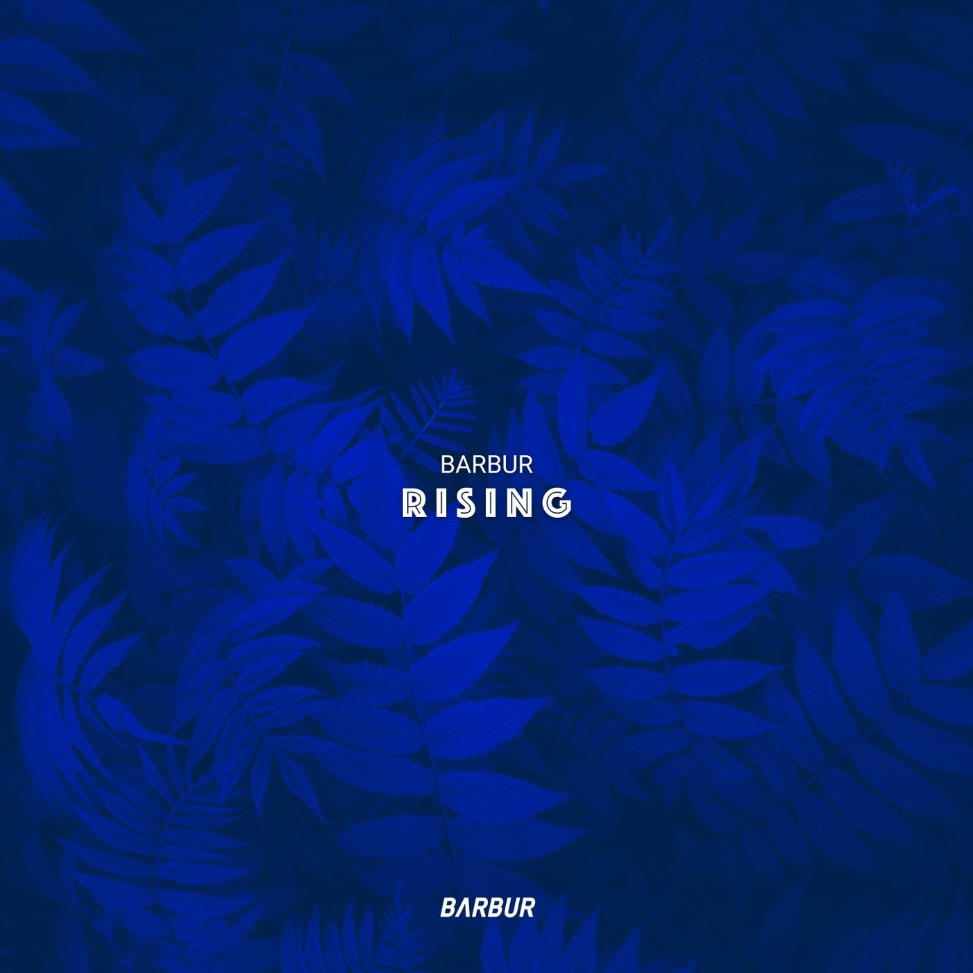 Cover - Barbur - Rising (Original Mix)