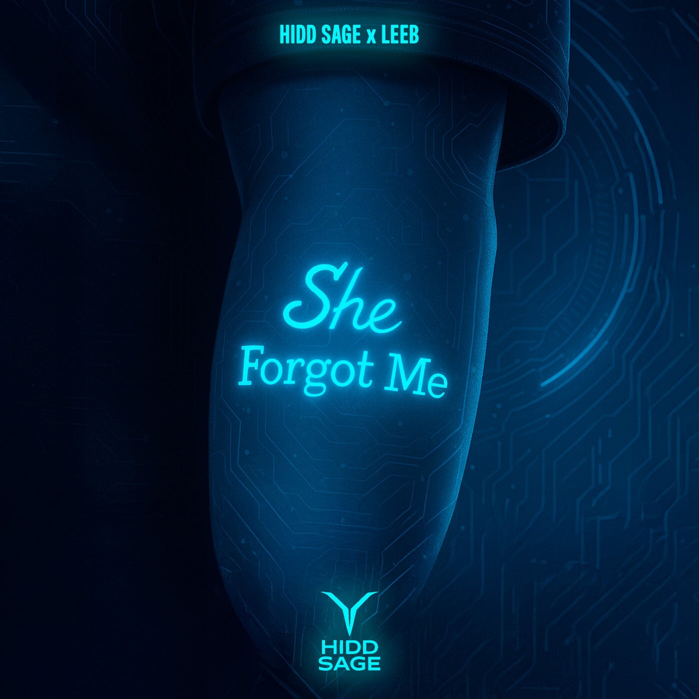 Cover - Leeb, Hidd Sage - She Forgot Me (Original Mix)