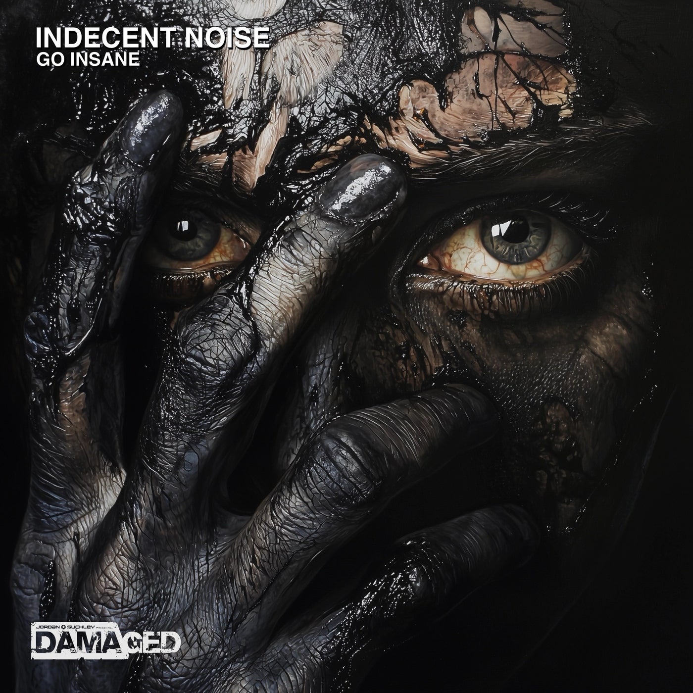 Cover - Indecent Noise - Go Insane (Extended Mix)