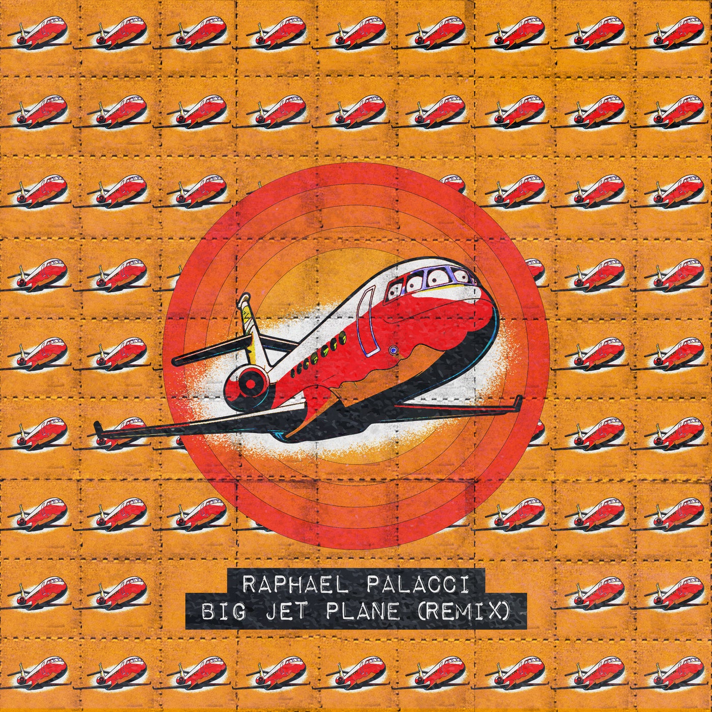 Cover - Raphael Palacci - Big Jet Plane (Remix)