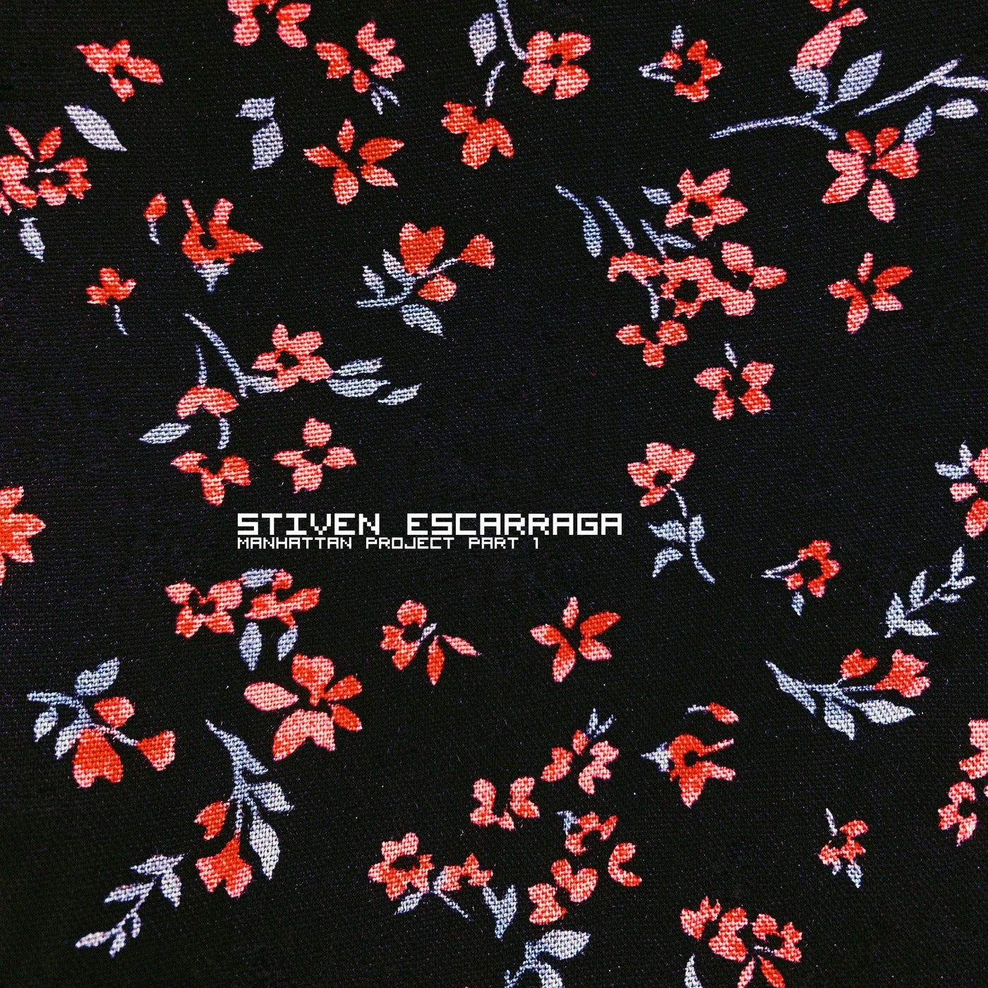 Cover - Stiven Escarraga - Latigazo (Original Mix)