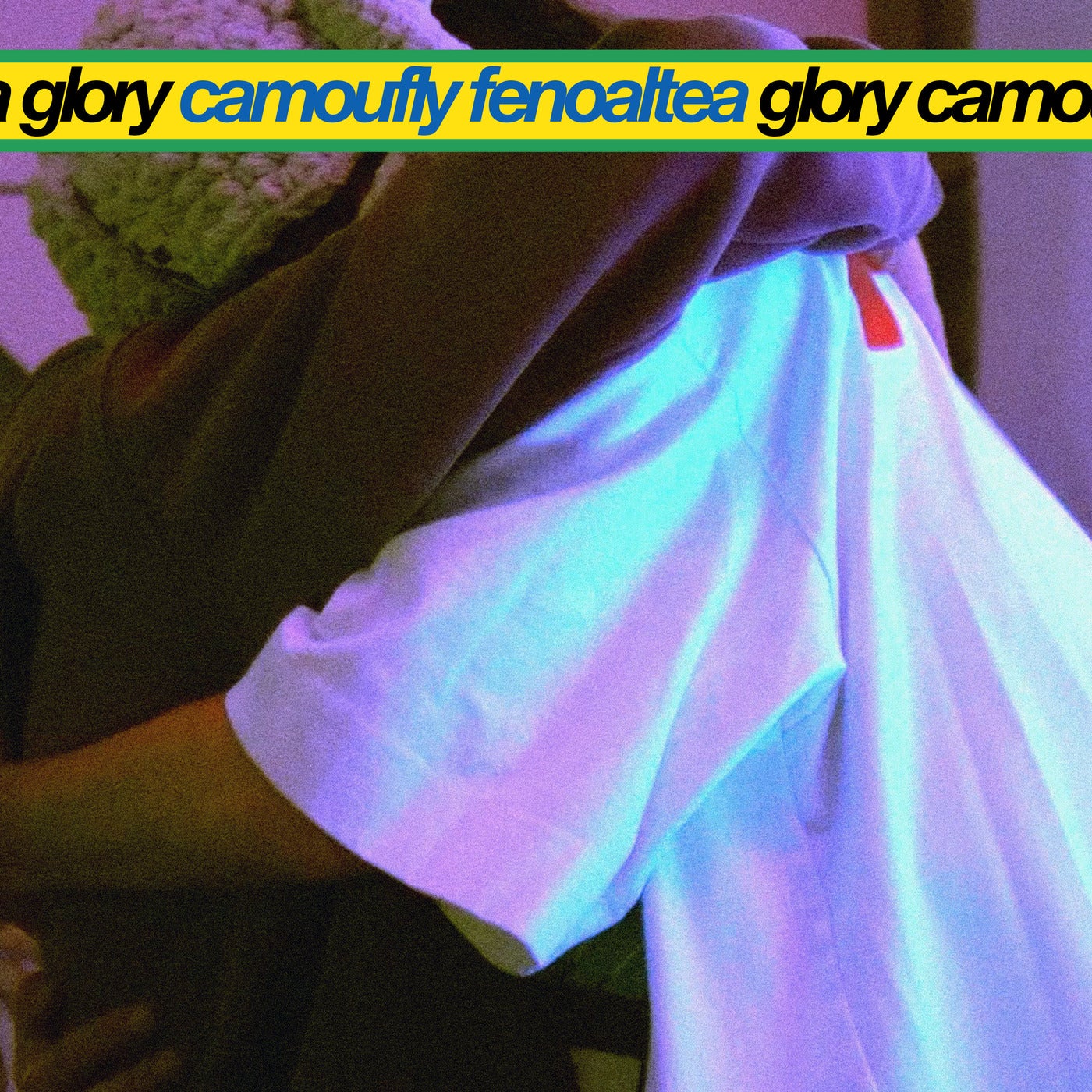 Cover - fenoaltea, camoufly - glory (Original Mix)
