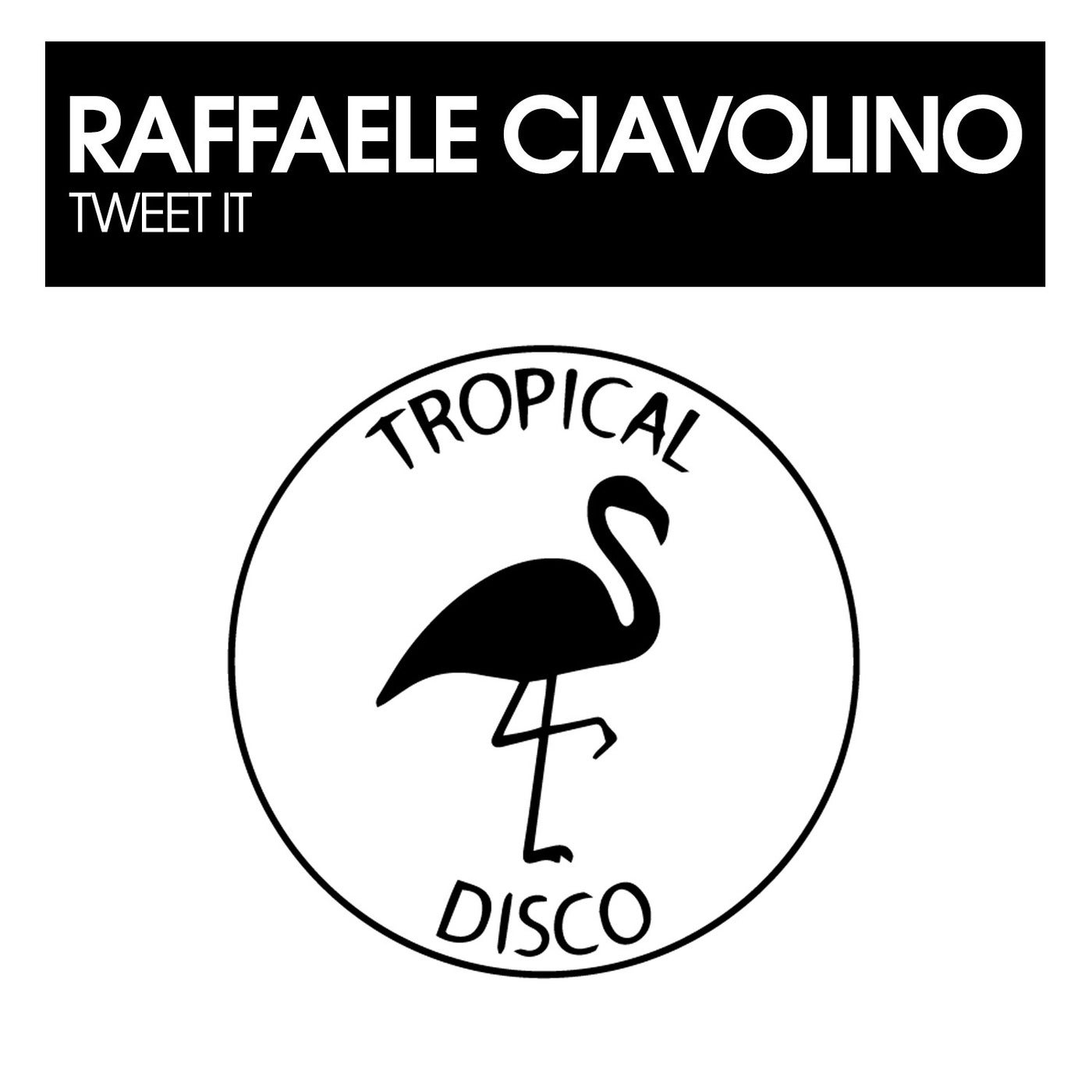 Cover - Raffaele Ciavolino - Tweet It (Original Mix)