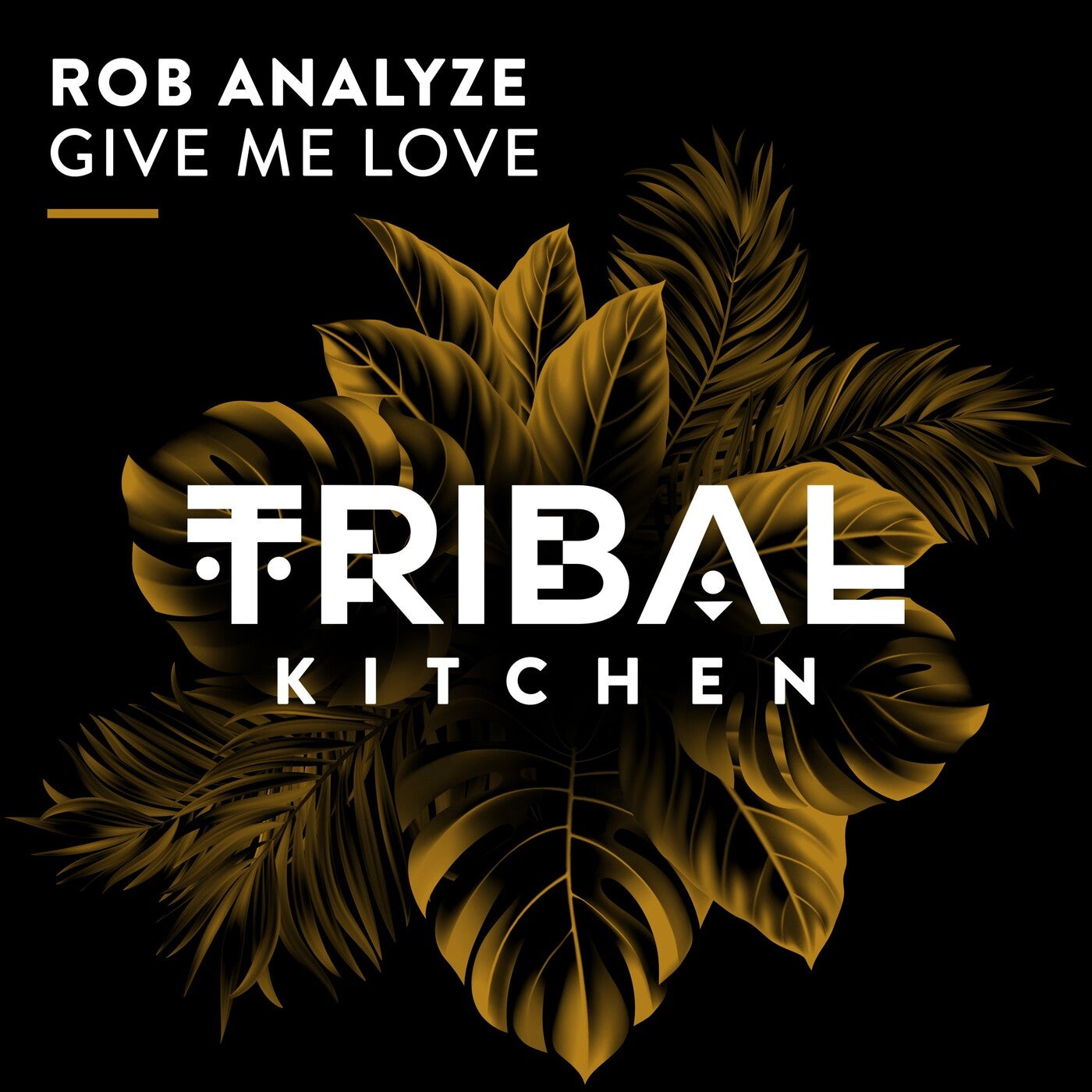 Cover - Rob Analyze - Give Me Love (Extended Mix)