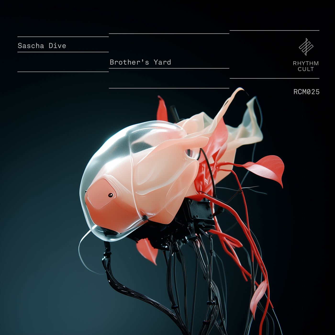 Cover - Sascha Dive - Brother's Yard (YokoO Dub Mix)