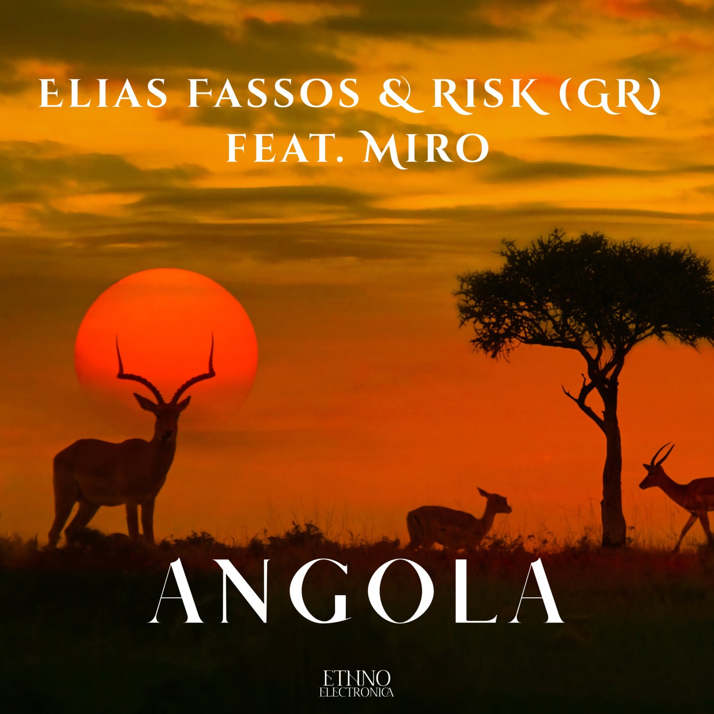 Cover - Elias Fassos, RisK (Gr) - Angola (Original Mix)