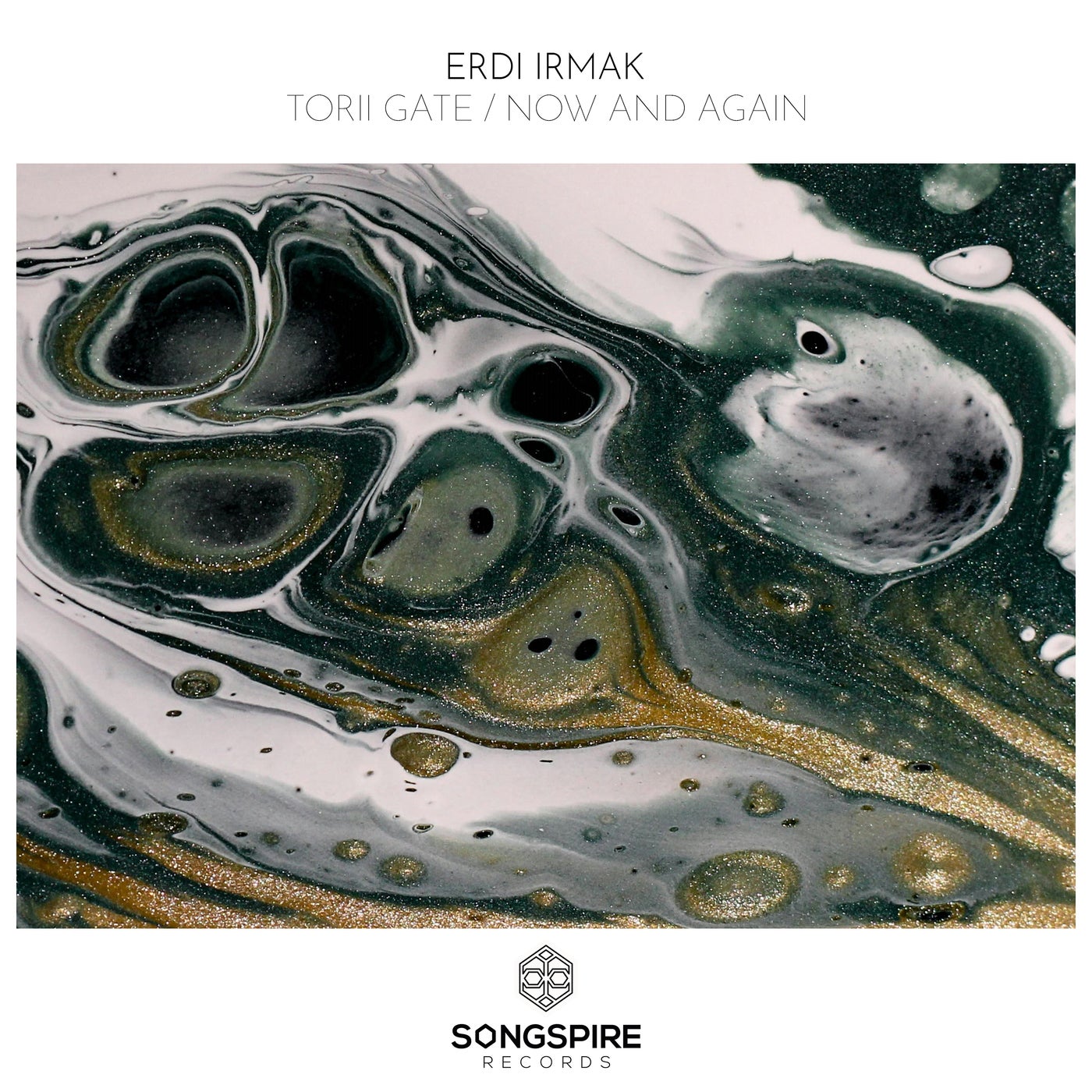 Cover - Erdi Irmak - Torii Gate (Original Mix)