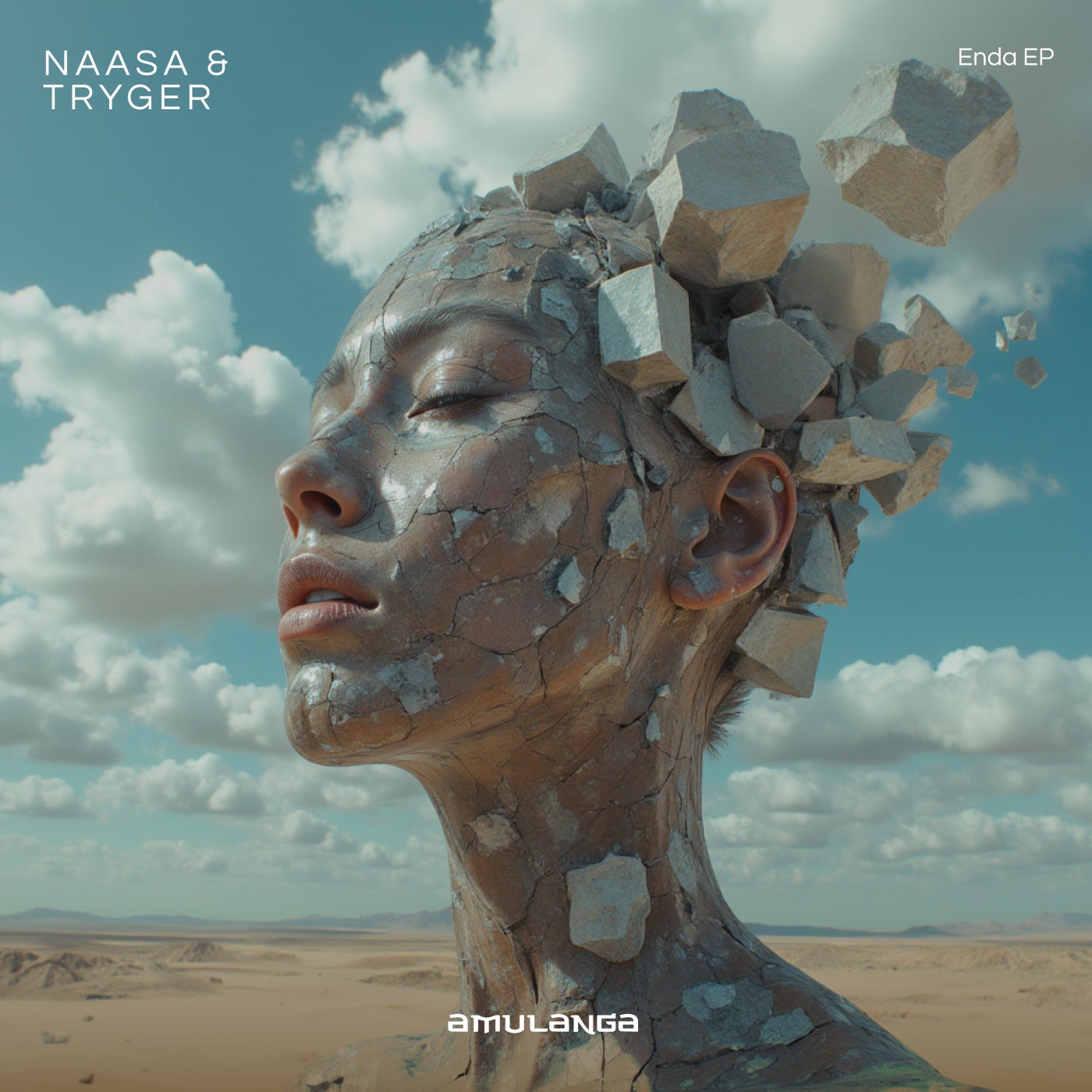 Cover - Tryger, NAASA - Enda (Ventt AM Mix)