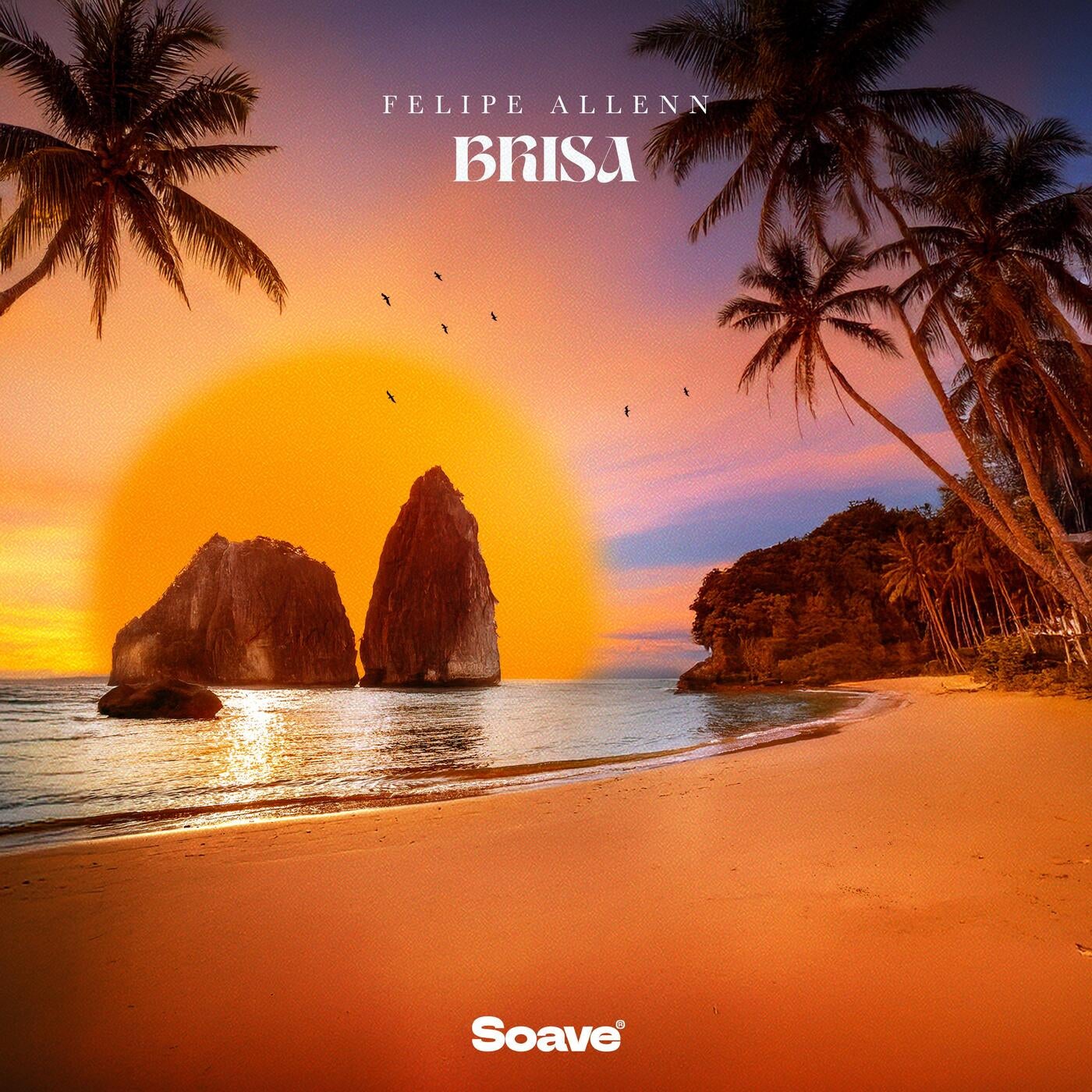 Cover - Felipe Allenn - Brisa (Extended Mix)