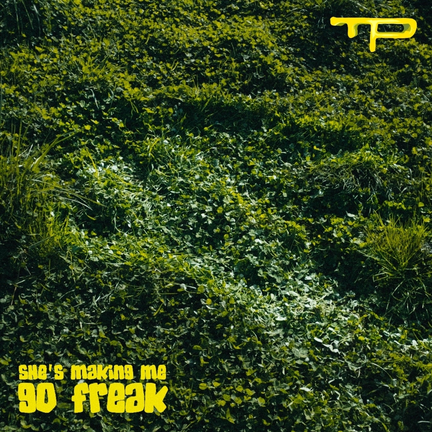 Cover - Leo Pol - She's Making Me Go Freak (Original Mix)