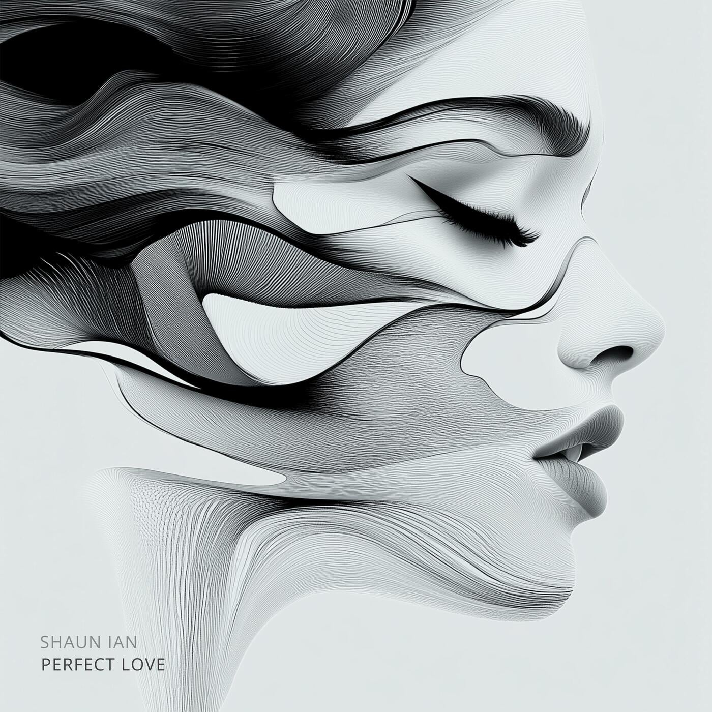 Cover - Shaun Ian - Perfect Love (Original Mix)