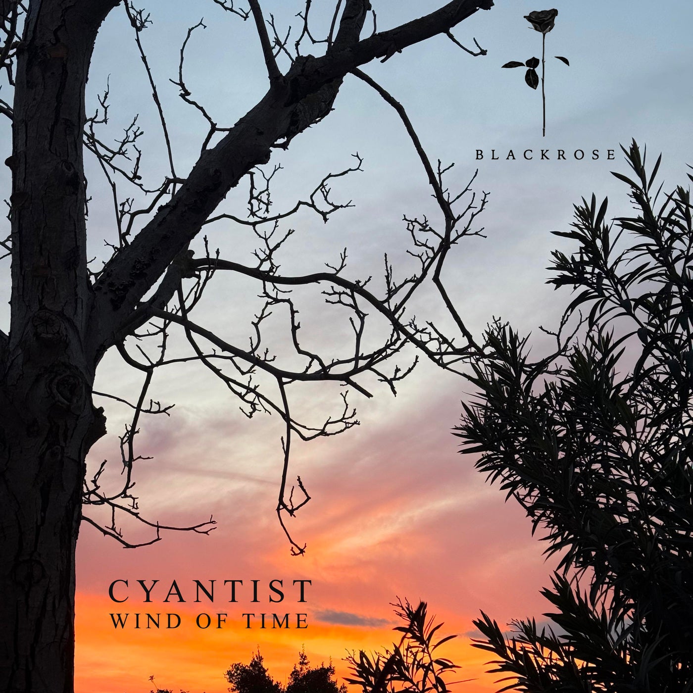 Cover - Cyantist - Far Away (Original Mix)