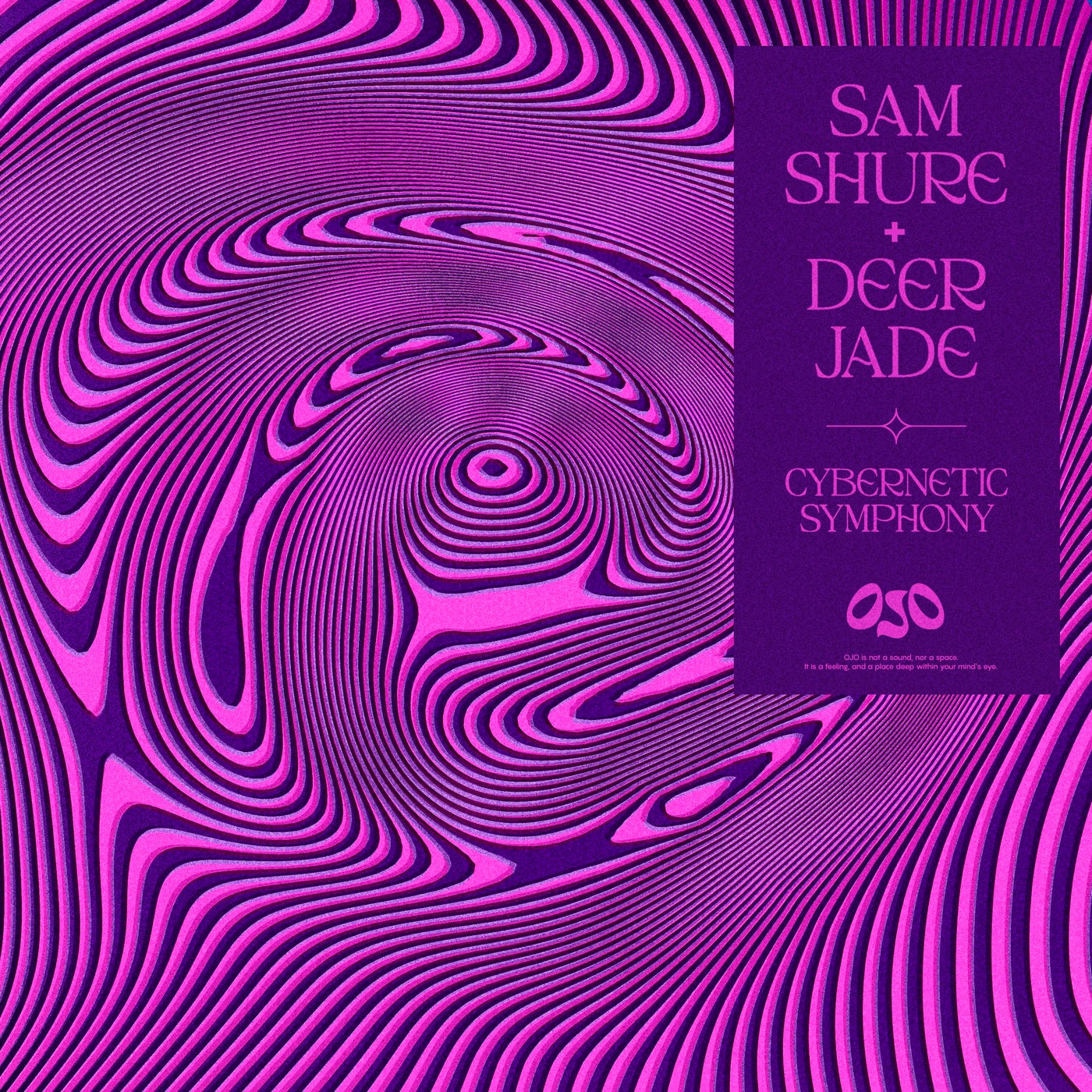 Cover - Sam Shure, Deer Jade - Cybernetic Symphony (Bora Uzer Extended Remix)