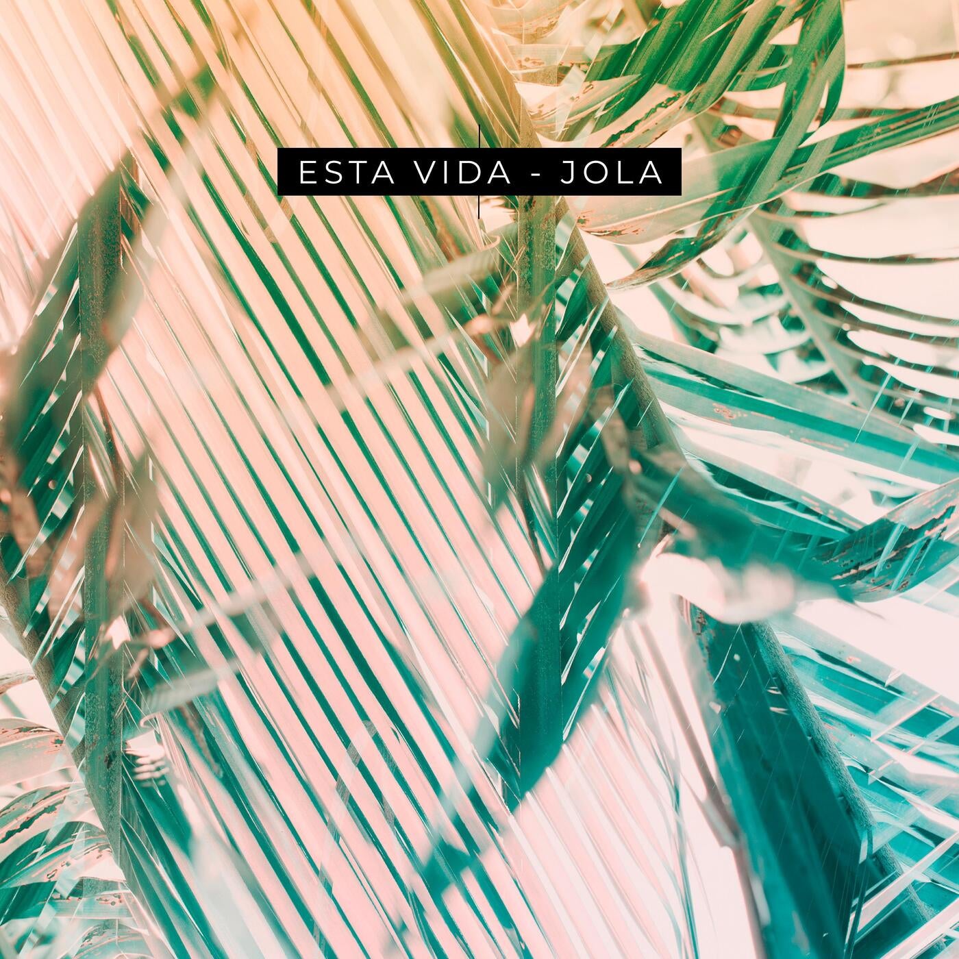 Cover - ESTA VIDA - Jola (Original Mix)