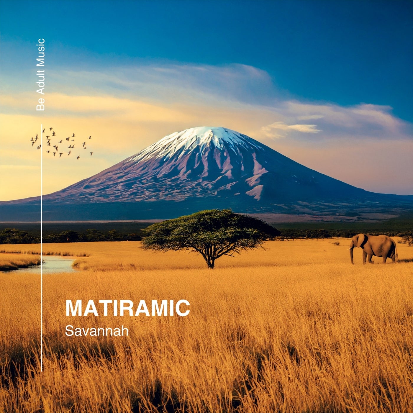 Cover - MATIRAMIC - Loxodonta (Original Mix)